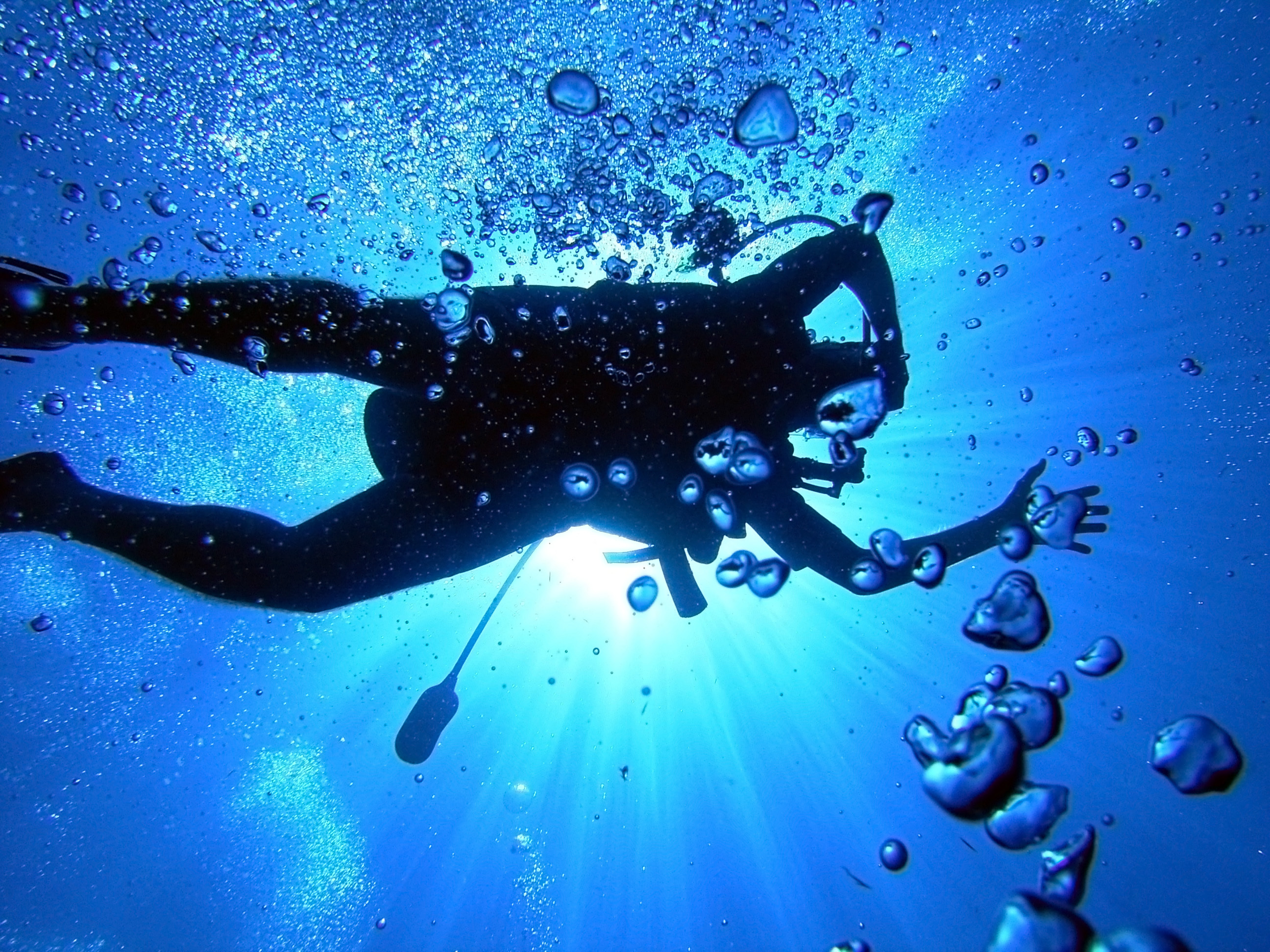 Sports Scuba Diving 2592x1944