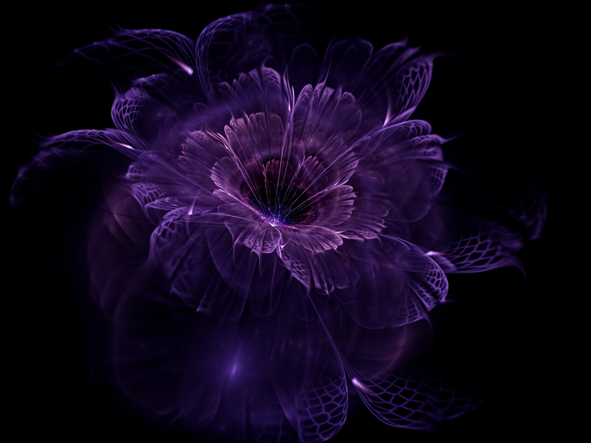 Abstract Fractal Black Background Fractal Flowers 1920x1440