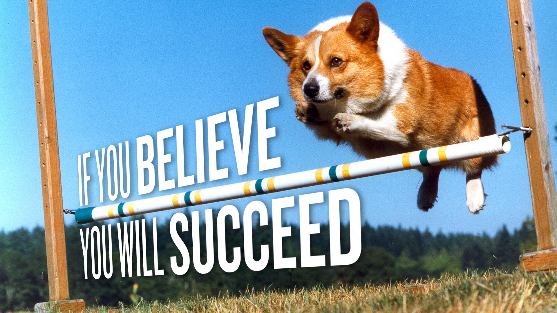 Corgi Pembroke Welsh Corgis Dog Jumping Motivational Animals Typography 1920x1080