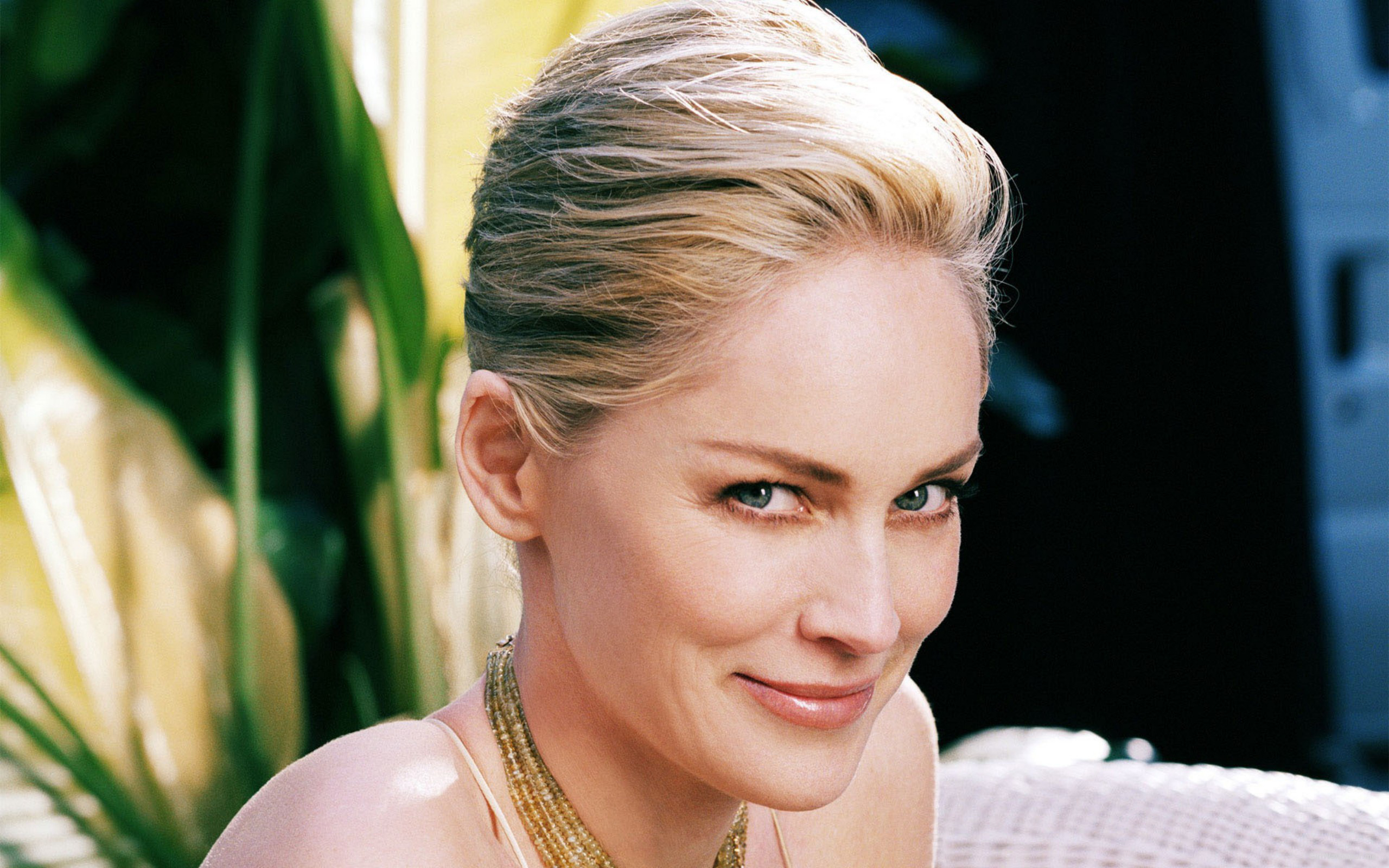 Sharon Stone Actress American 2560x1600