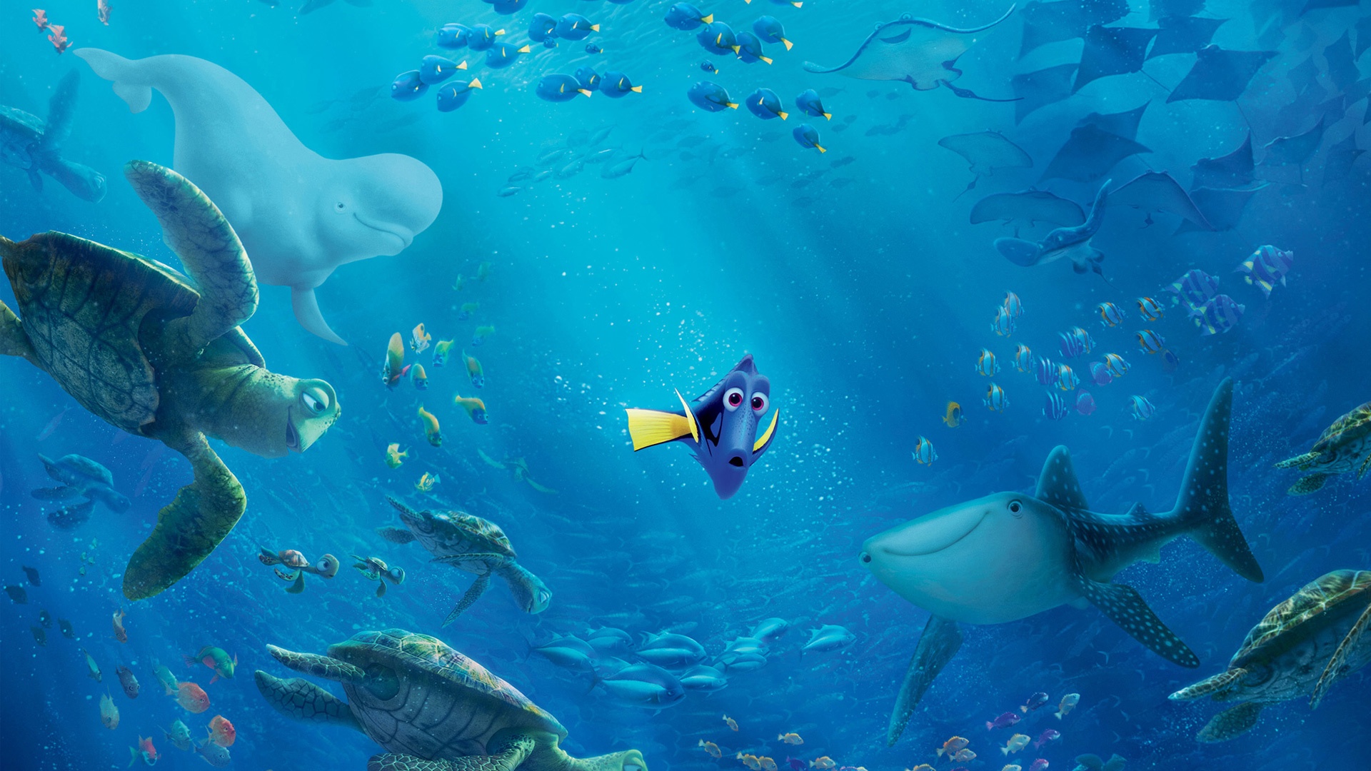 Movie Finding Dory Sea Ocean Dory Finding Nemo Crush Finding Nemo Bailey Finding Dory Destiny Findin 1920x1080