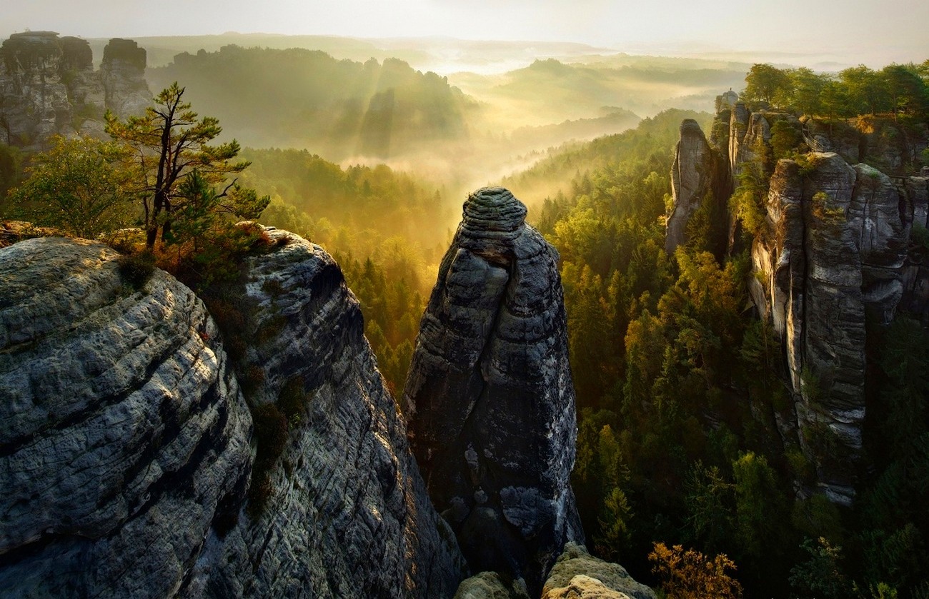 Forest Cliff Mist Valley Trees Sun Rays Saxon Switzerland Mountains Nature Landscape 1300x839