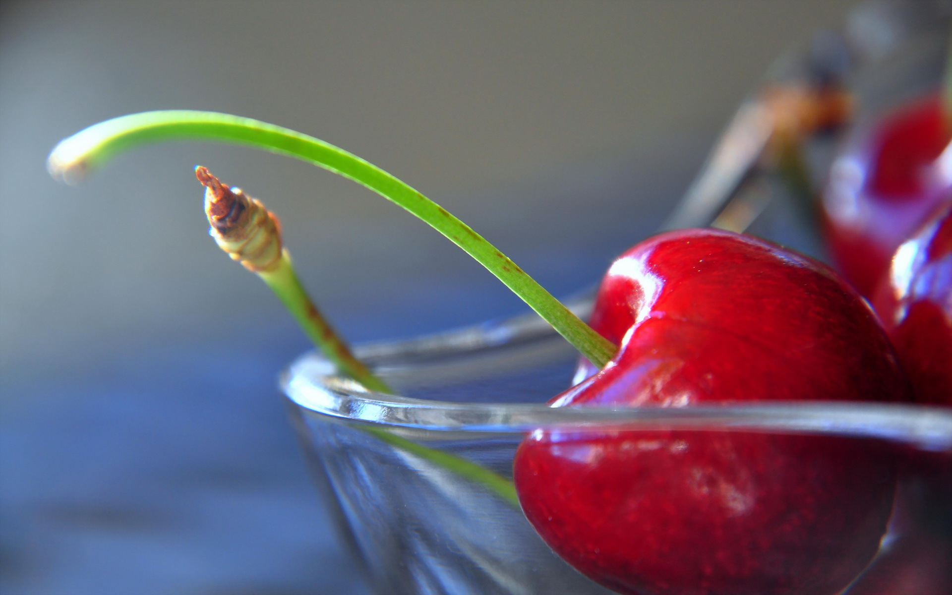 Food Cherry 1920x1200