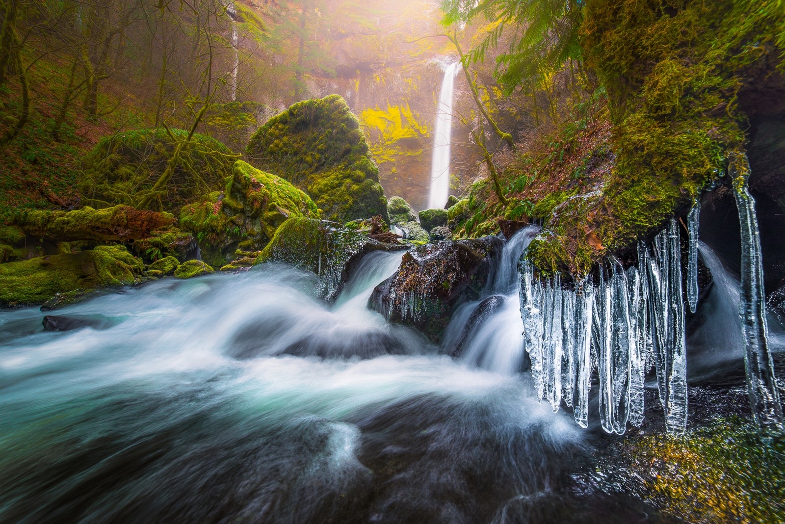 Nature Landscape Waterfall Morning Cold River Frost Moss Ice Oregon Long Exposure Trees Icicle Strea 1600x1068