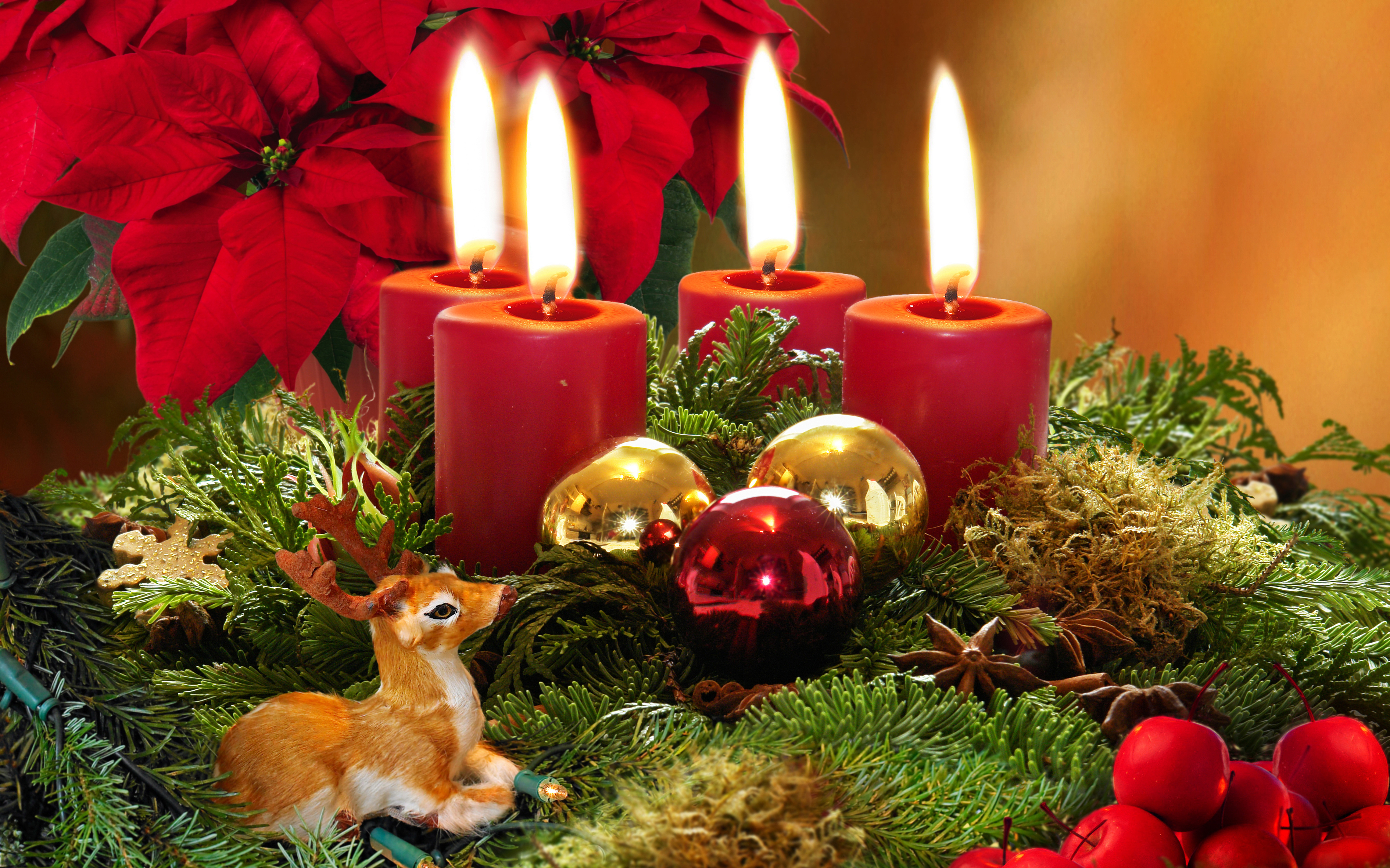 Holiday Christmas Christmas Ornaments Poinsettia Deer Candle 6562x4101