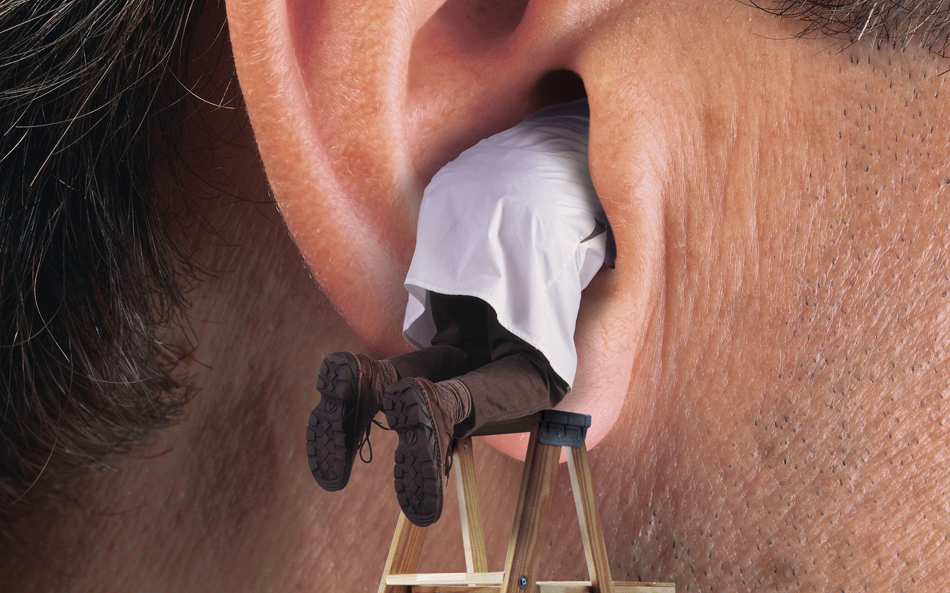 Humor Men Ears Scientists Ladders Hair Photo Manipulation 1920x1200