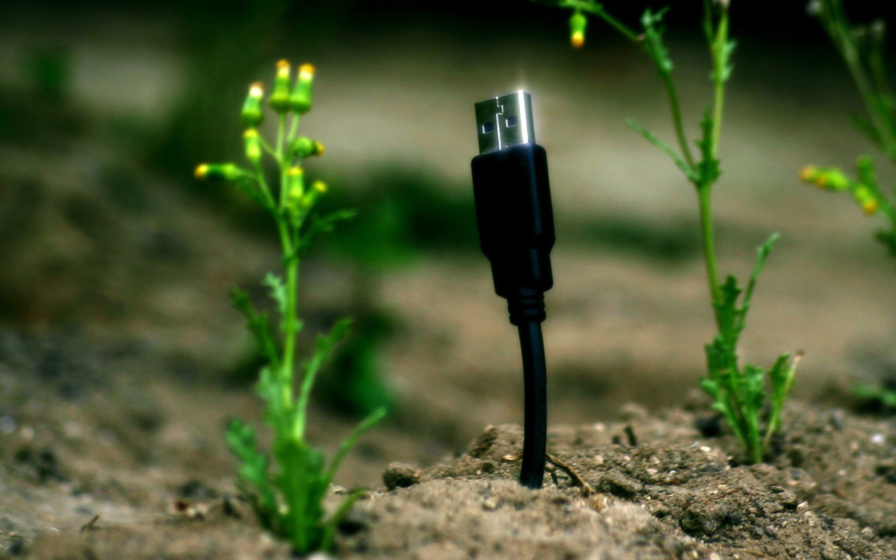 USB Technology Plants Macro Humor 1280x800