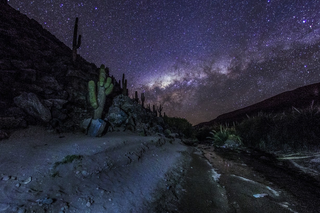 Photography Nature Landscape Mountains Milky Way Starry Night Cactus Galaxy Long Exposure Atacama De 1230x820
