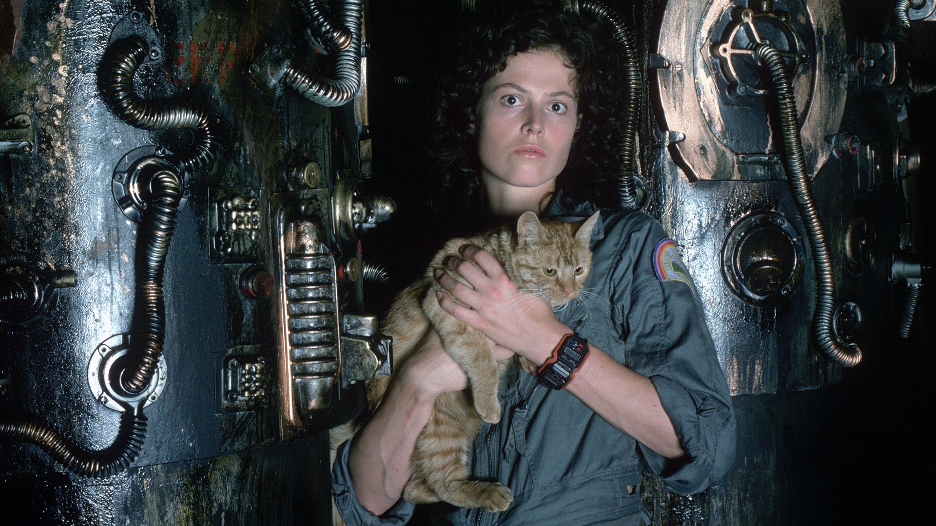 Sigourney Weaver Alien Movie Aliens Movie Smartwatch Movies Actress Cats 1920x1080