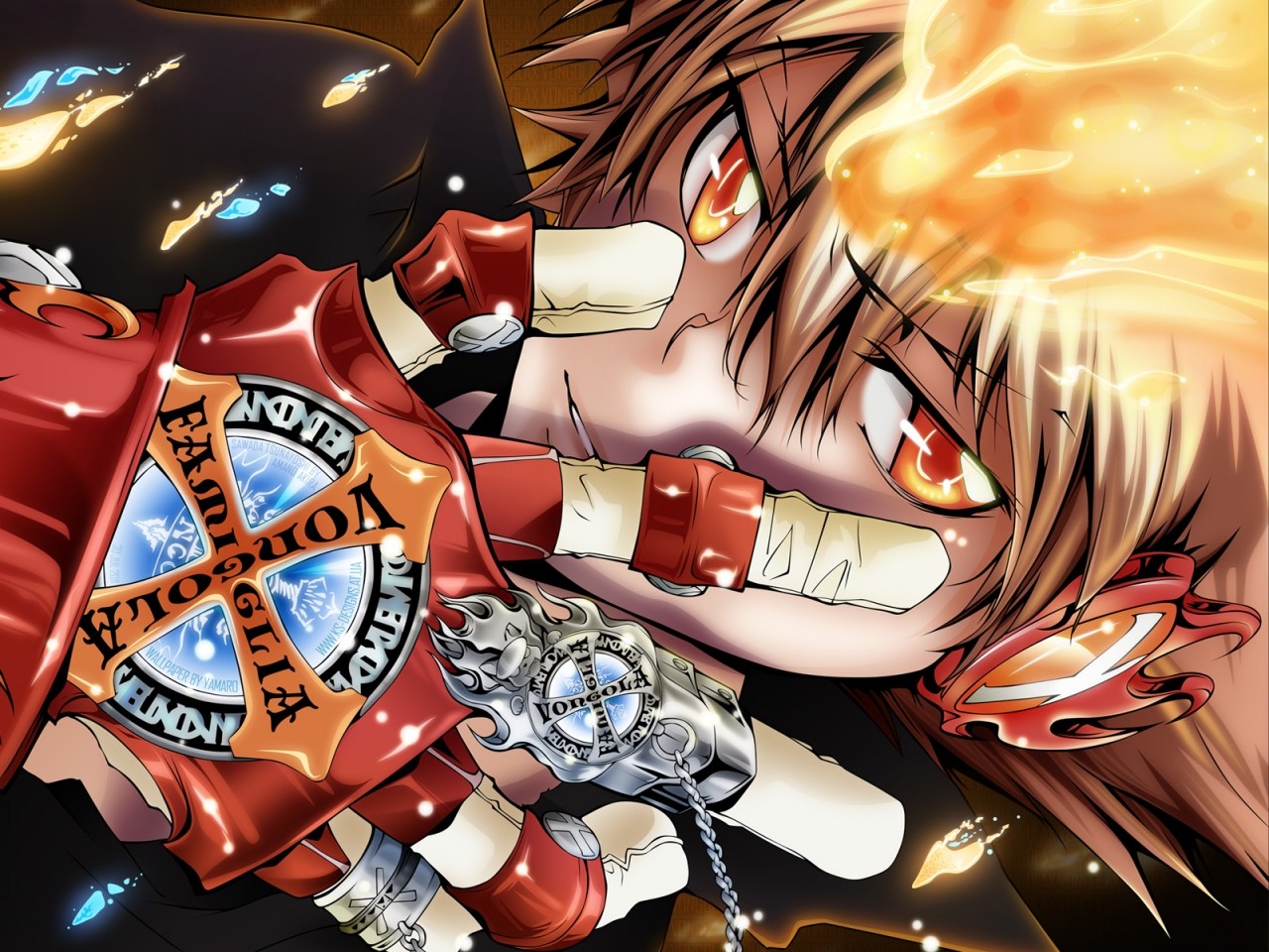 Katekyo Hitman Reborn Sawada Tsunayoshi Fire Gloves Anime Boys 1280x960