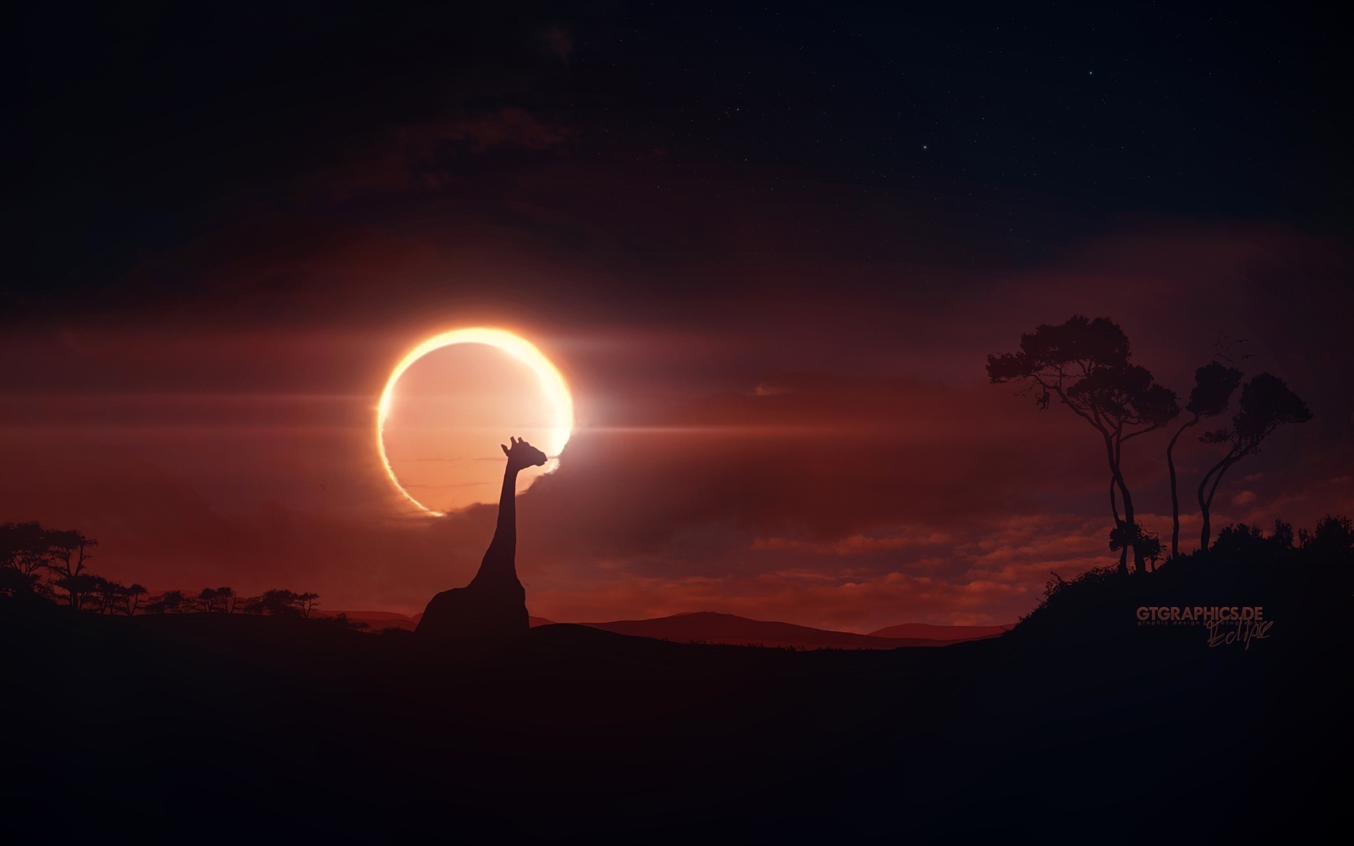 Eclipse Giraffe Night Savannah Scenic Sunset 1920x1200