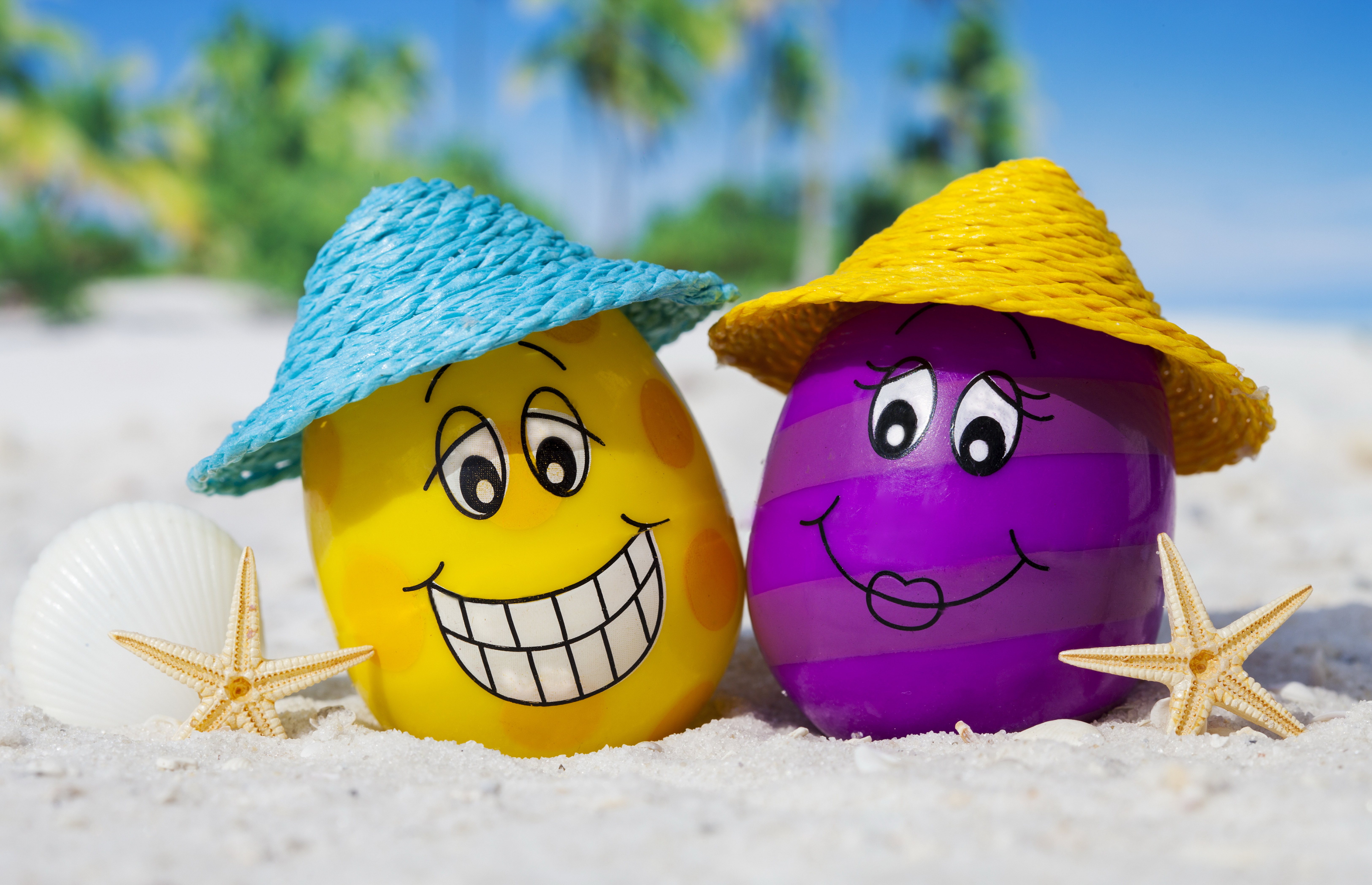 Beach Egg Summer 6500x4192