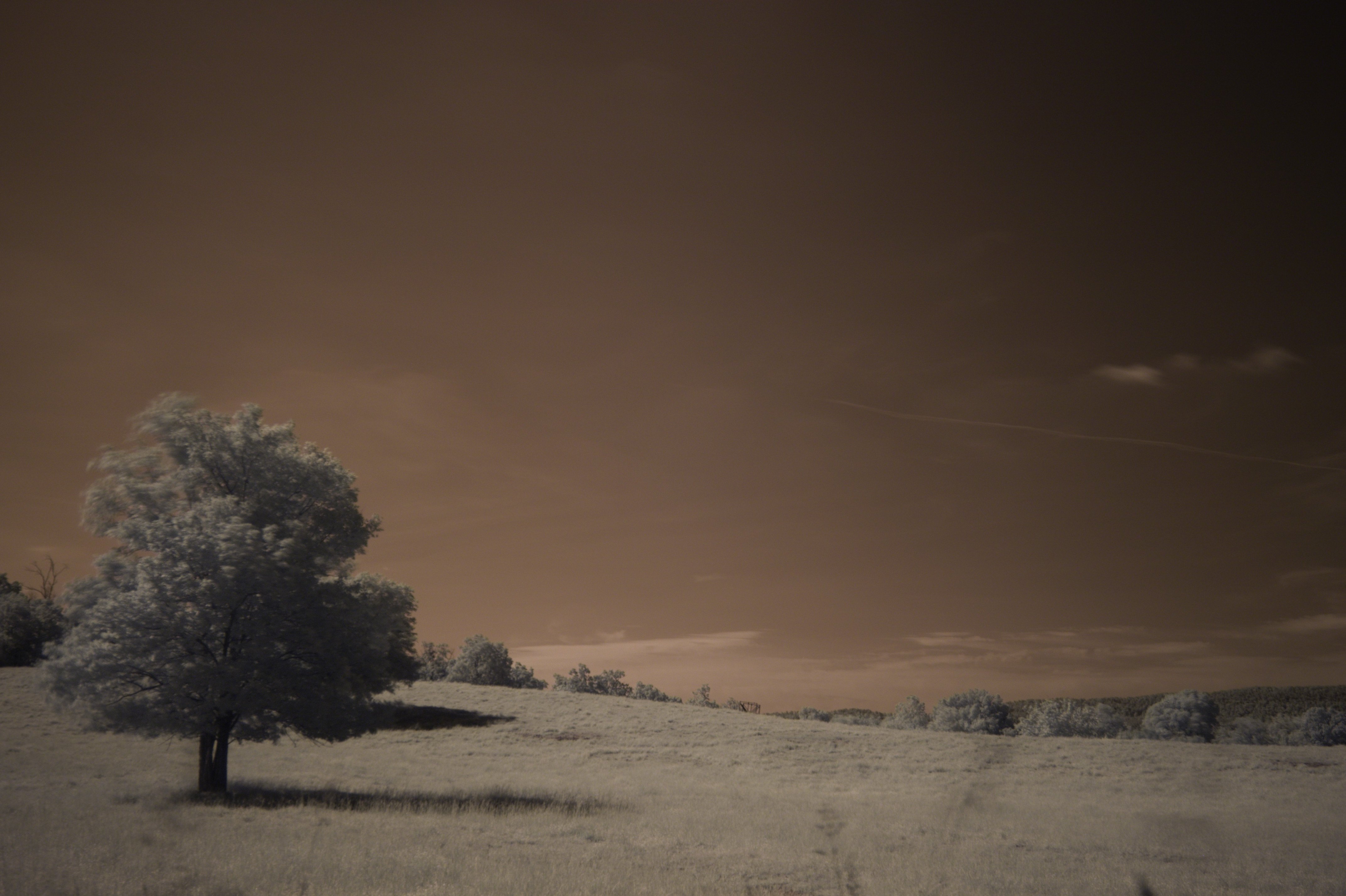 Photography Infrared 4288x2854