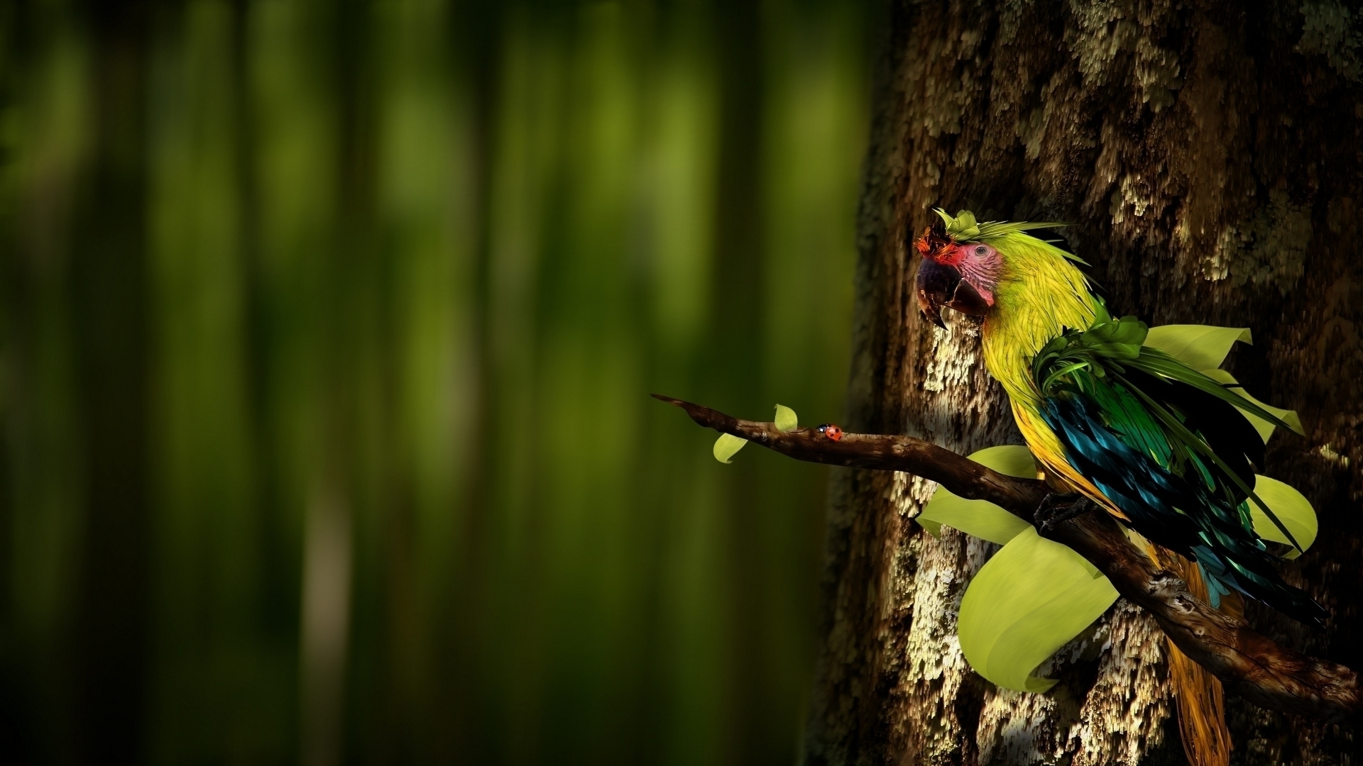 Animal Artistic Bird Colorful Digital Art Macaw Parrot Tree 1920x1080