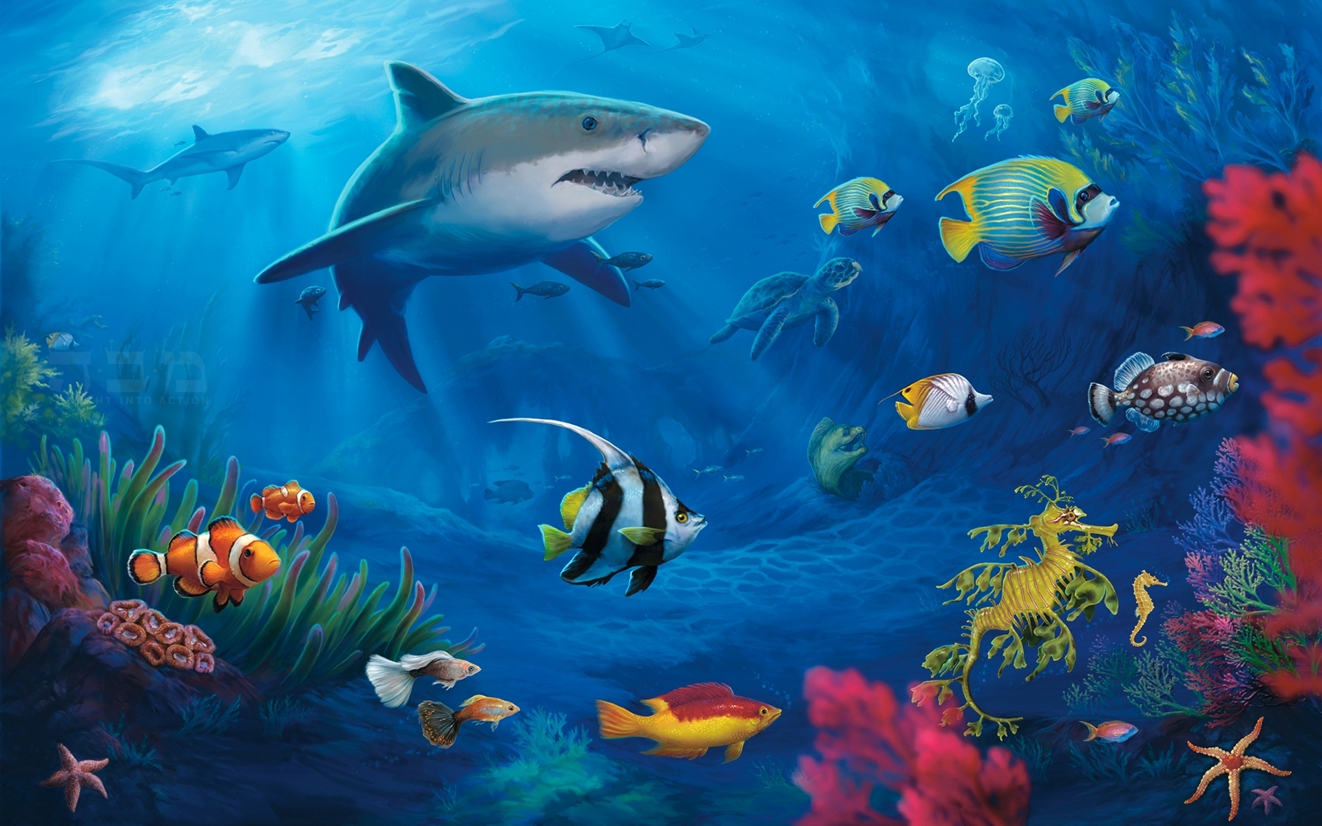 Artistic Colors Fish Shark Turtle Underwater 1920x1200