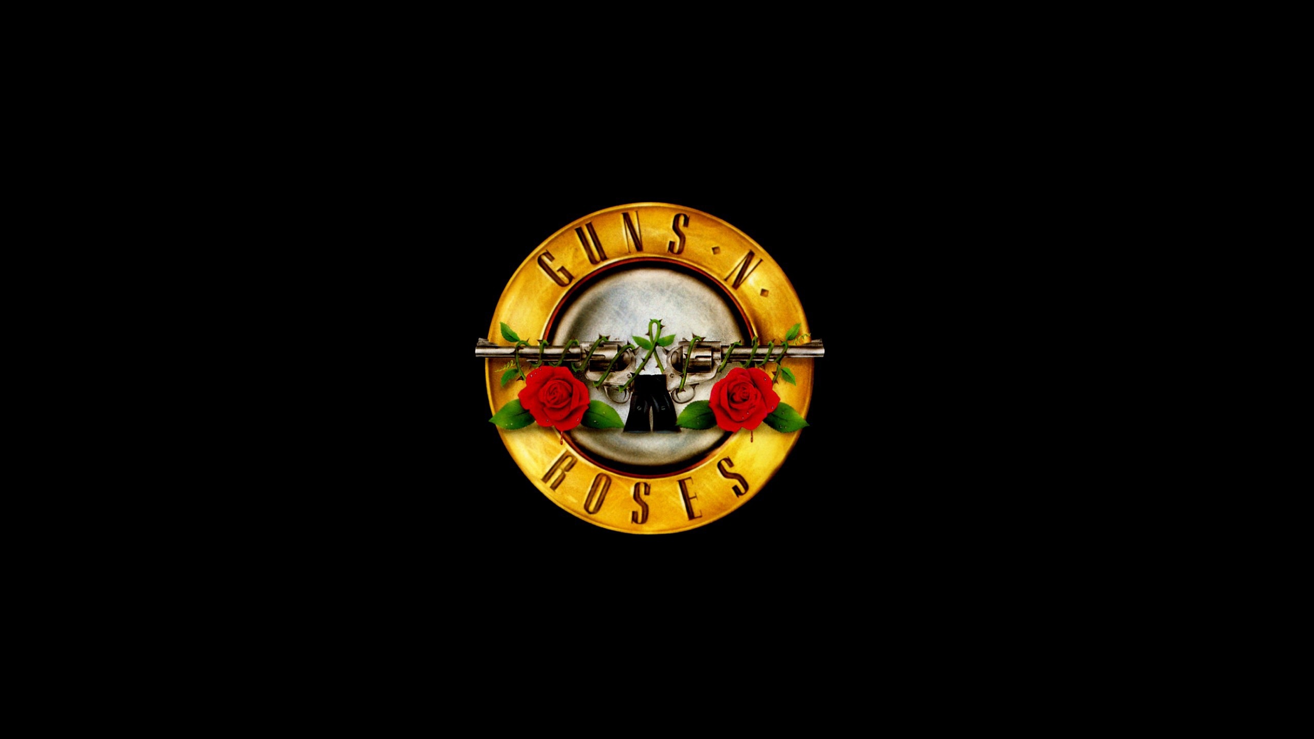 Music Guns N 039 Roses 2560x1440