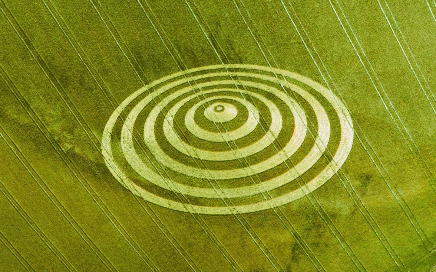 Man Made Crop Circles 1440x900