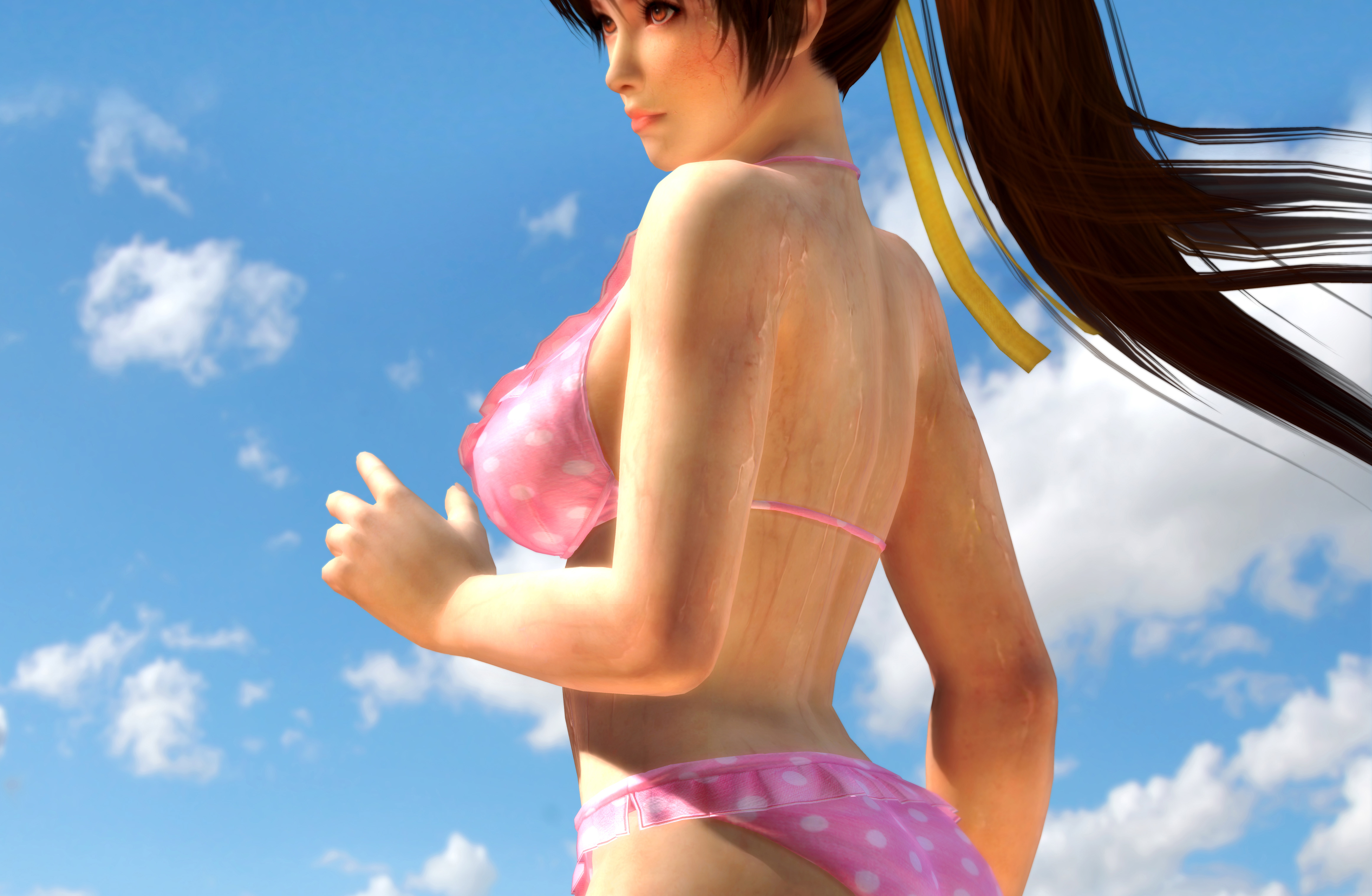 Video Game Dead Or Alive 5 4646x3035