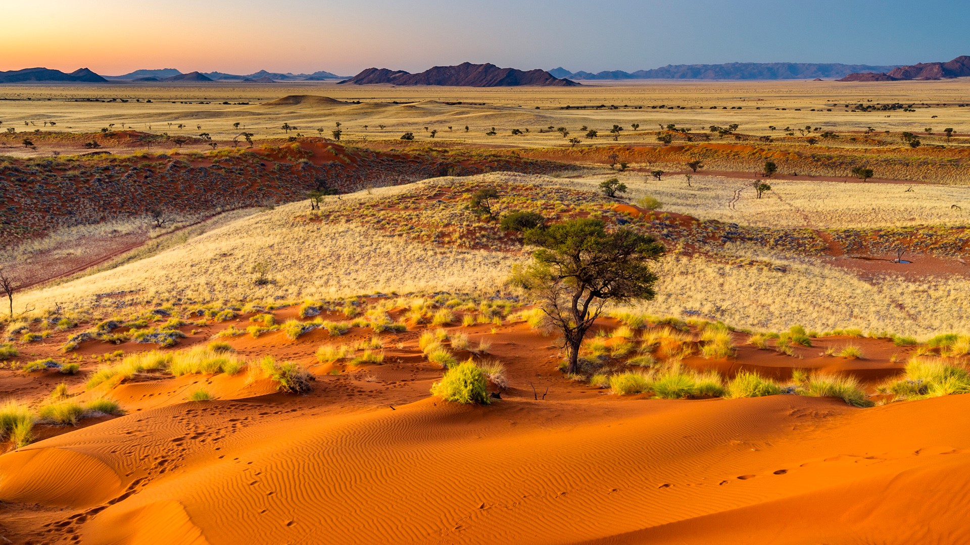 Nature Landscape Mountains Plants Trees Sand Desert Dunes Sunset Namibia 1920x1080