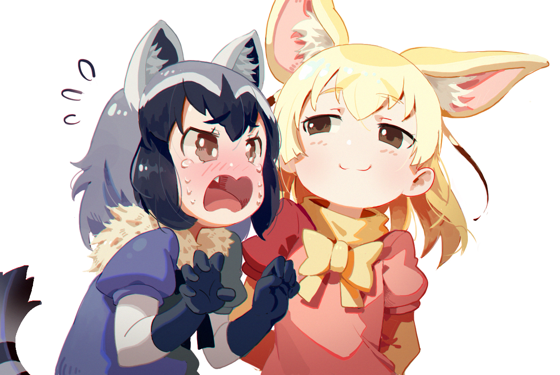 Fennec Kemono Friends Raccoon Kemono Friends 1920x1286