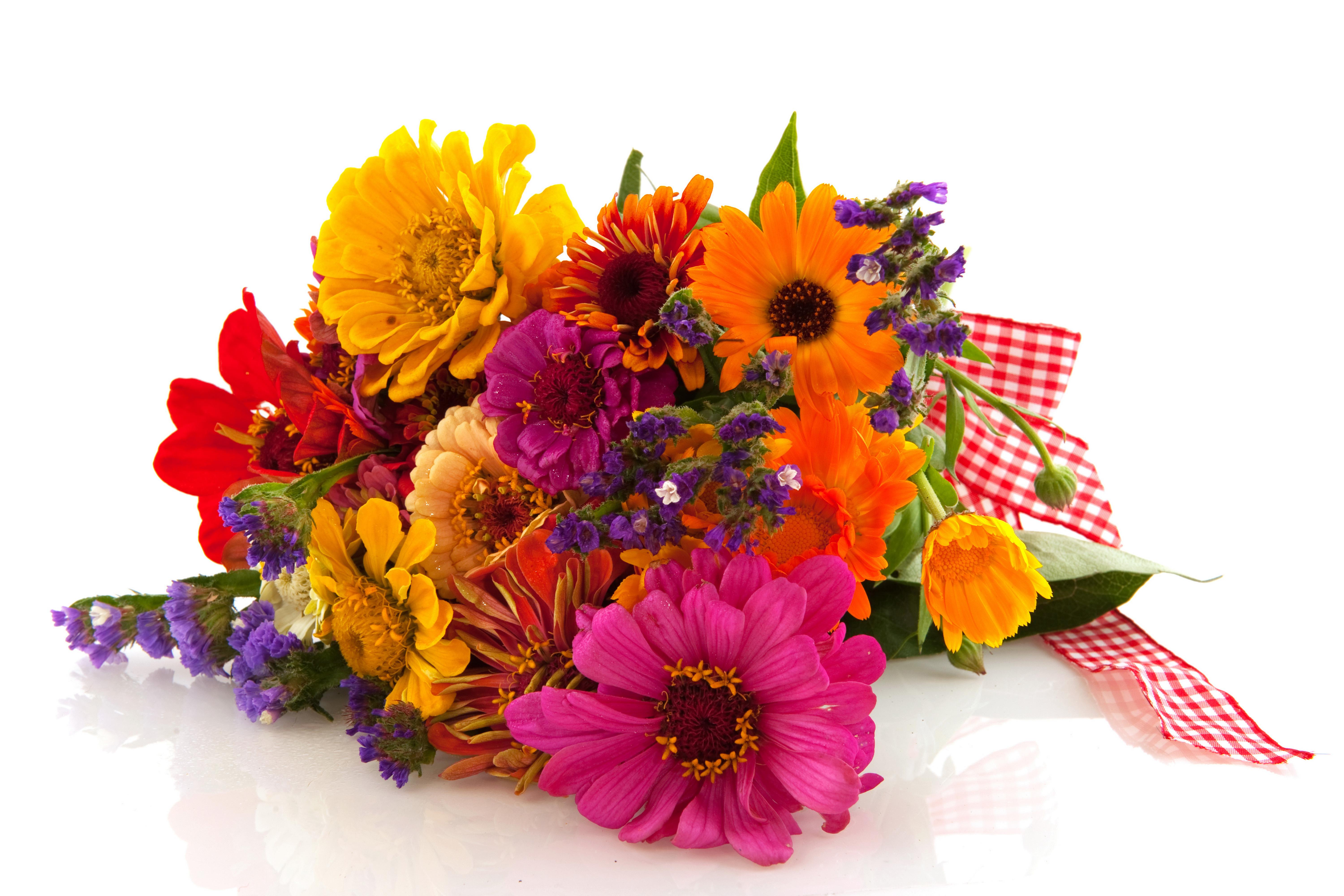 Bouquet Colors Flower Gerbera Orange Flower Pink Flower Purple Flower Red Flower Yellow Flower Zinni 6000x4000