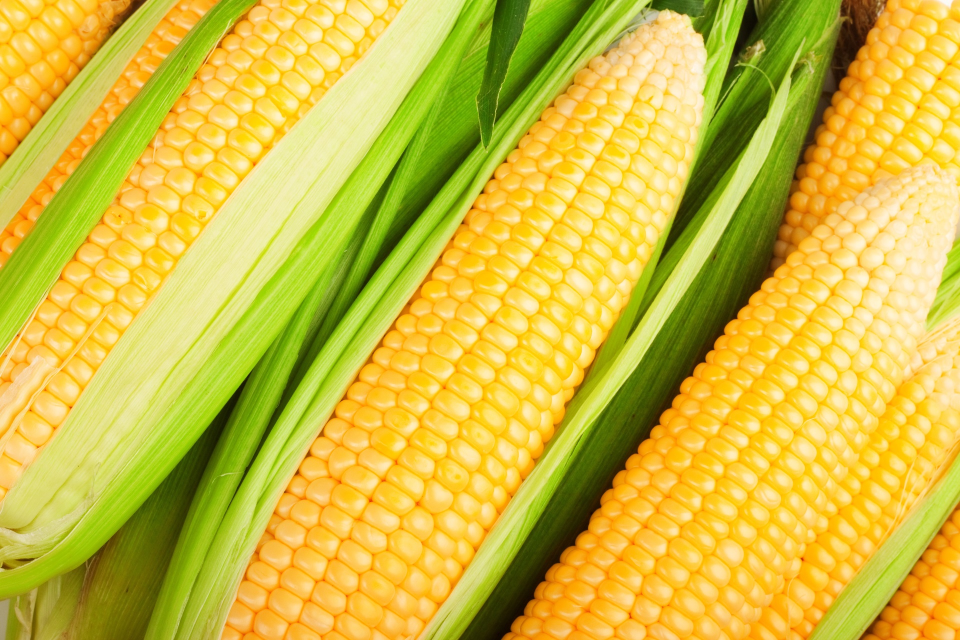 Food Corn 1920x1280