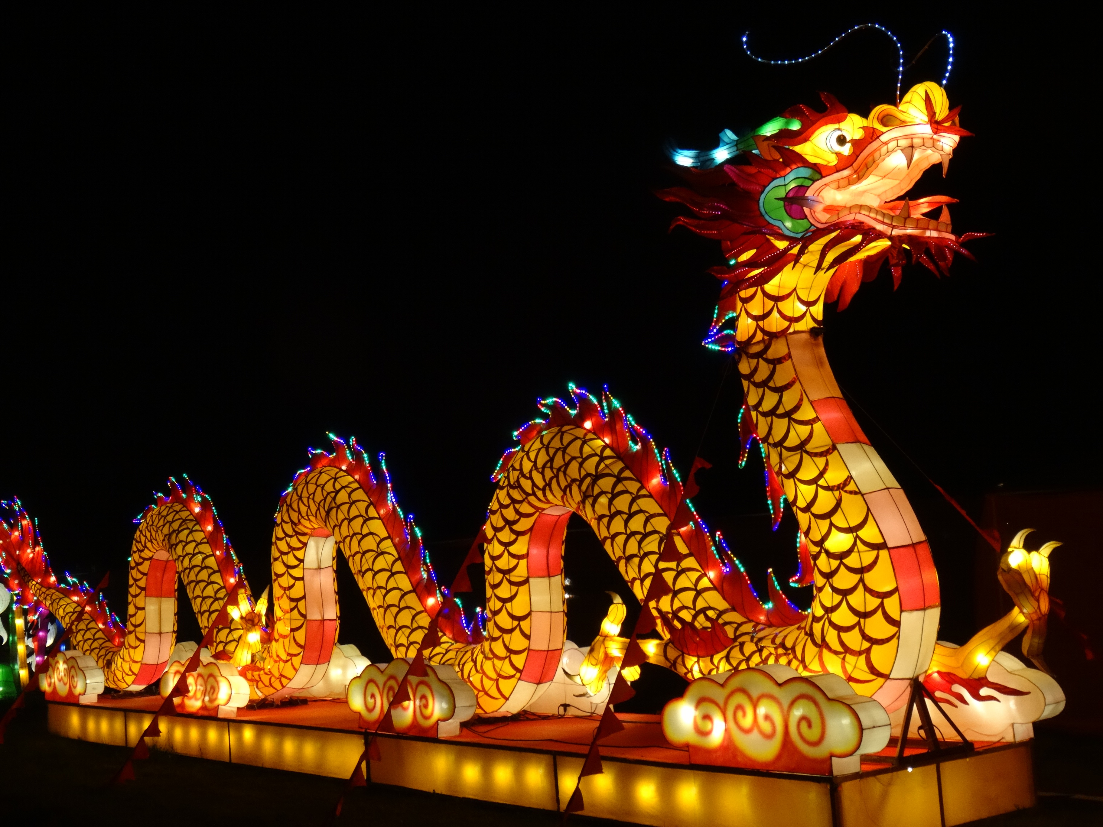 Chinese Dragon Chinese New Year Colors Holiday Light 3648x2736
