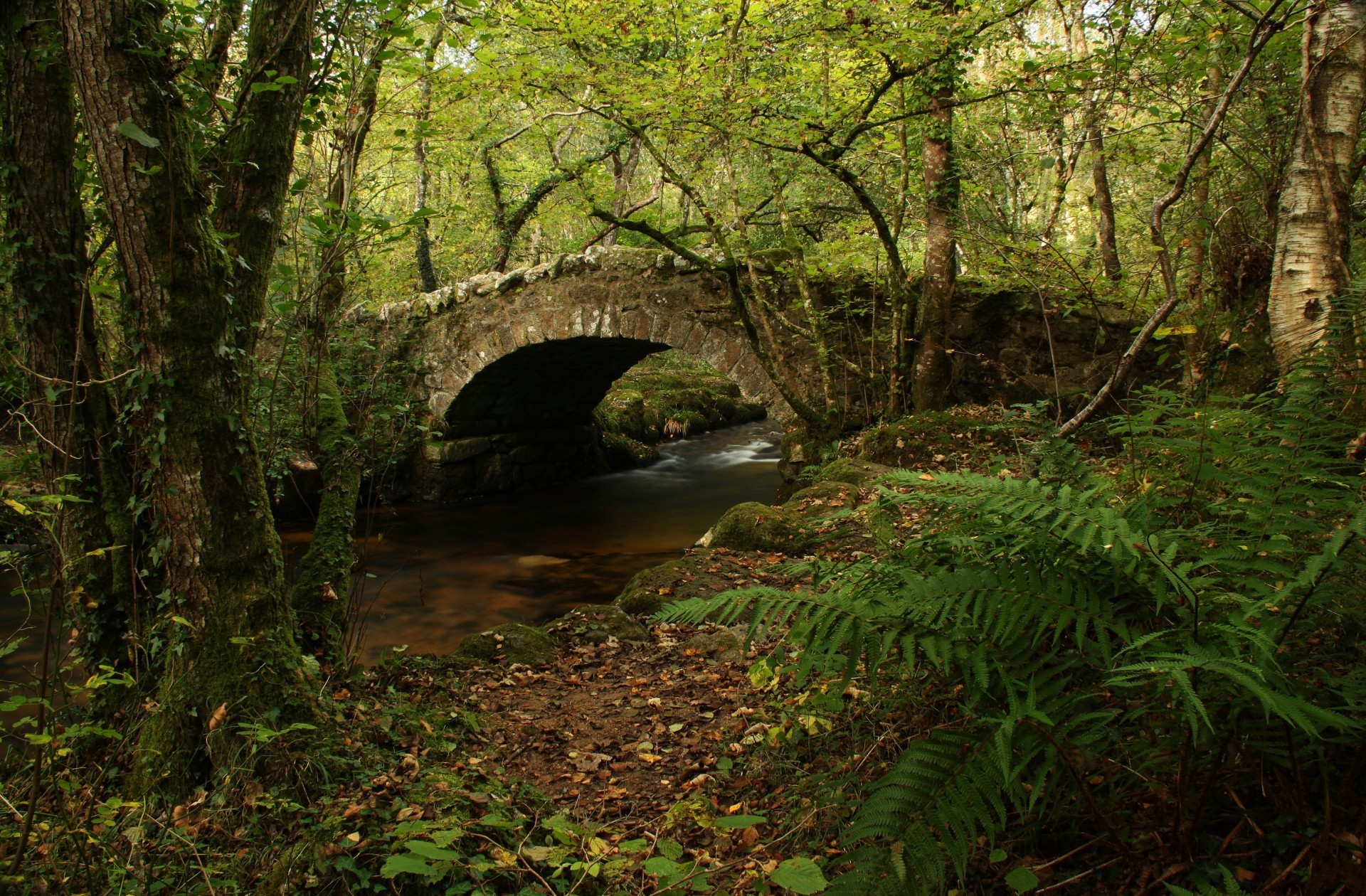 Bridge Stream Wood 1920x1260