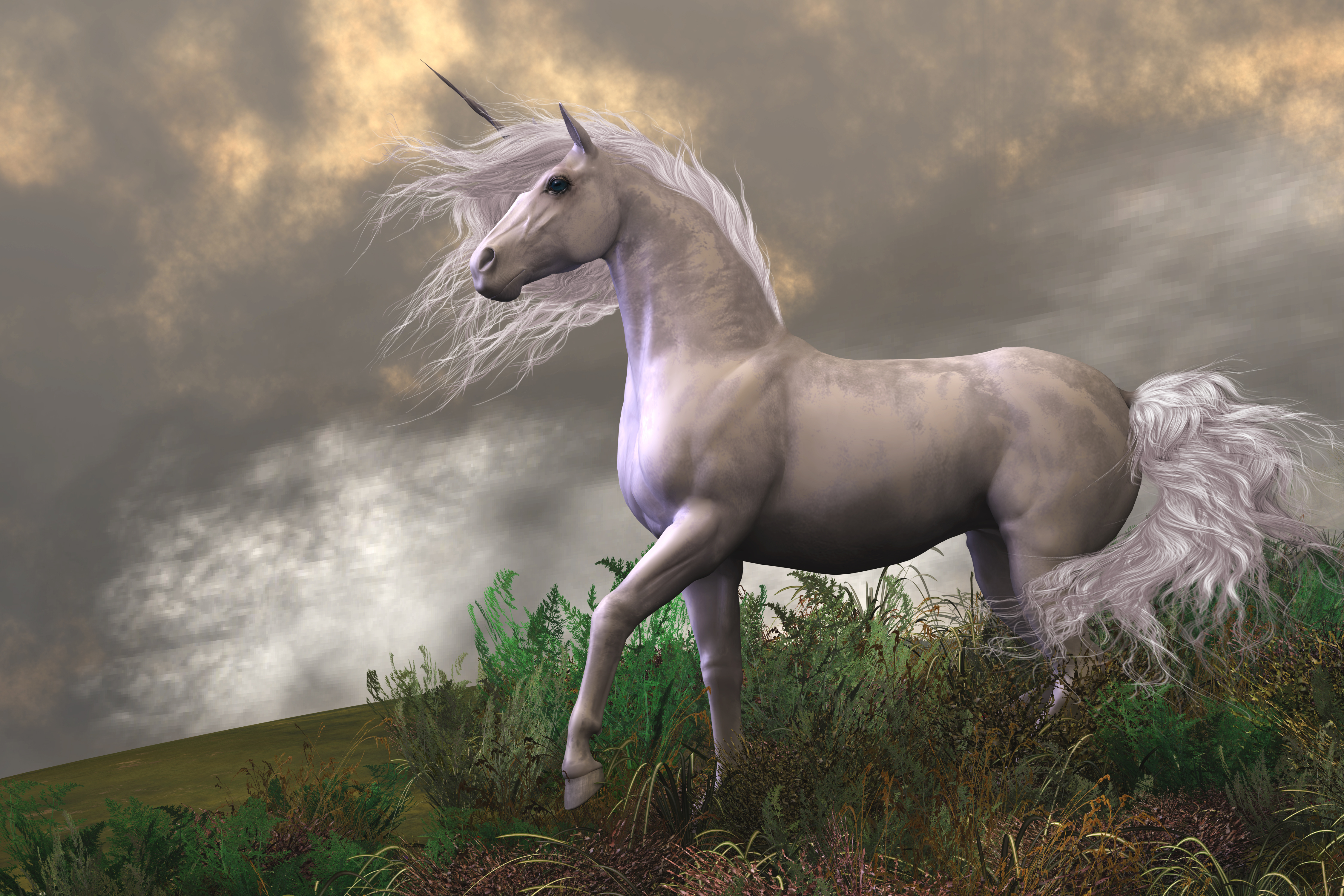 Cloud Fantasy Unicorn 4500x3000