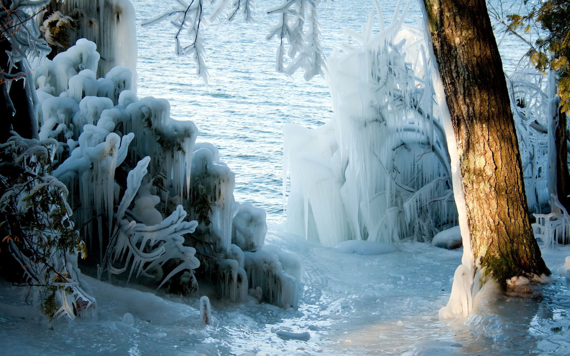 Forest Ice Lake Season Winter 1920x1200