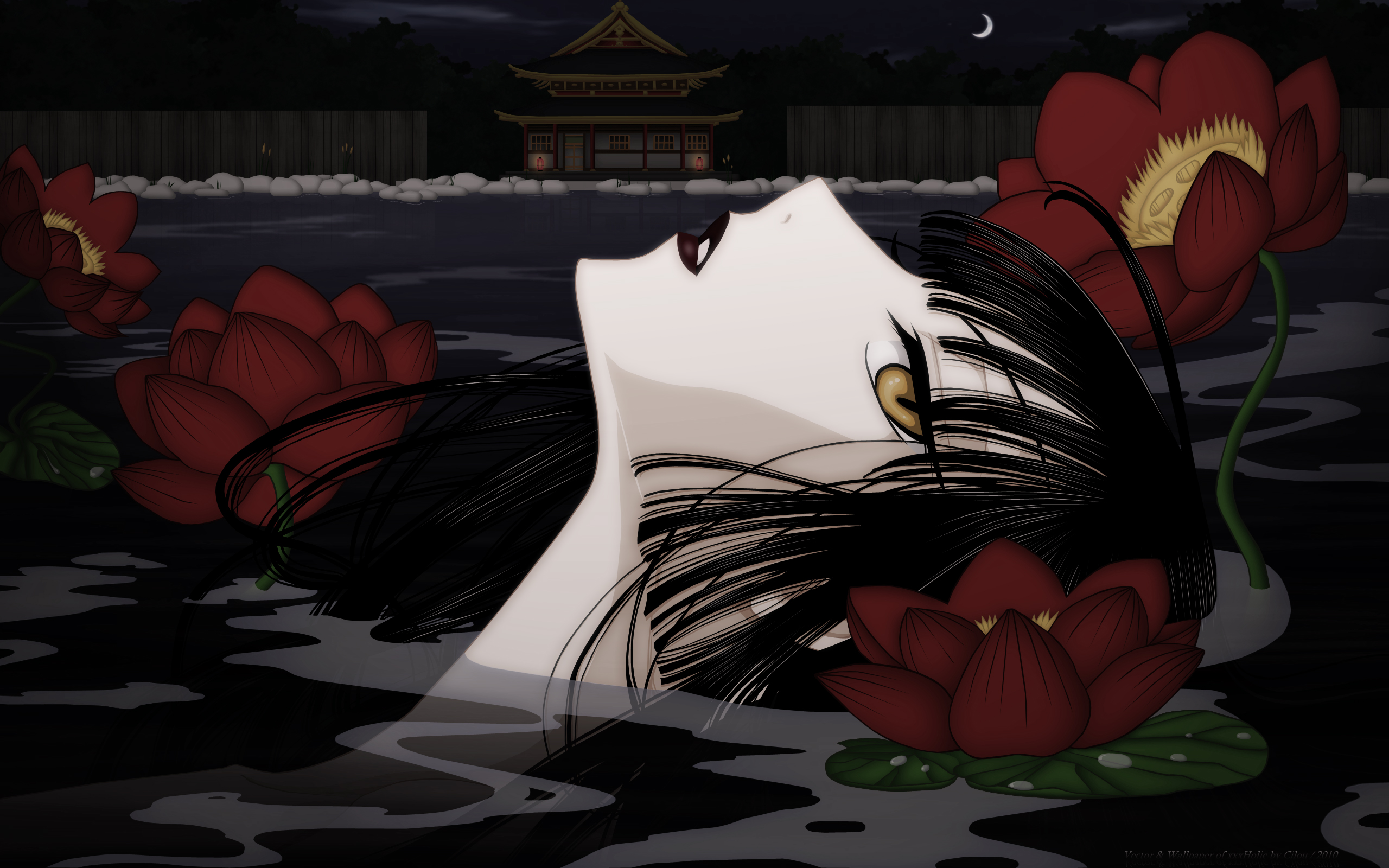 Anime XxxHOLiC 2560x1600