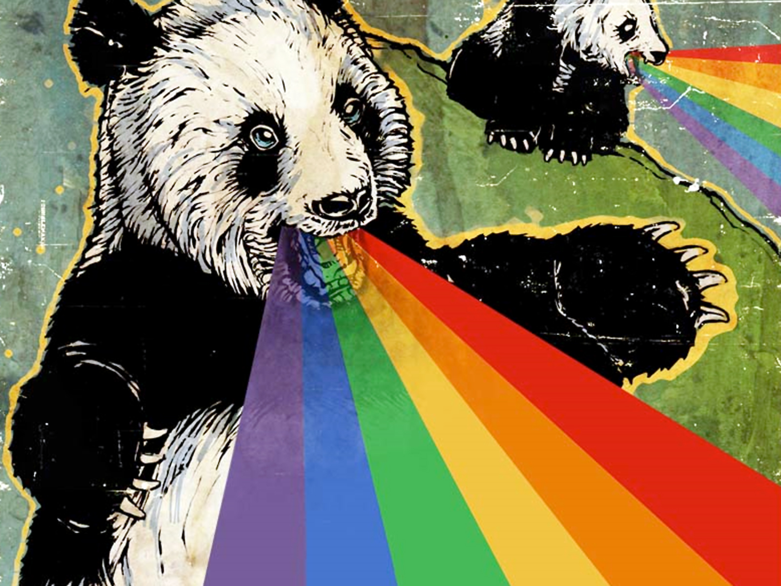 Bear Panda Rainbow 1600x1200