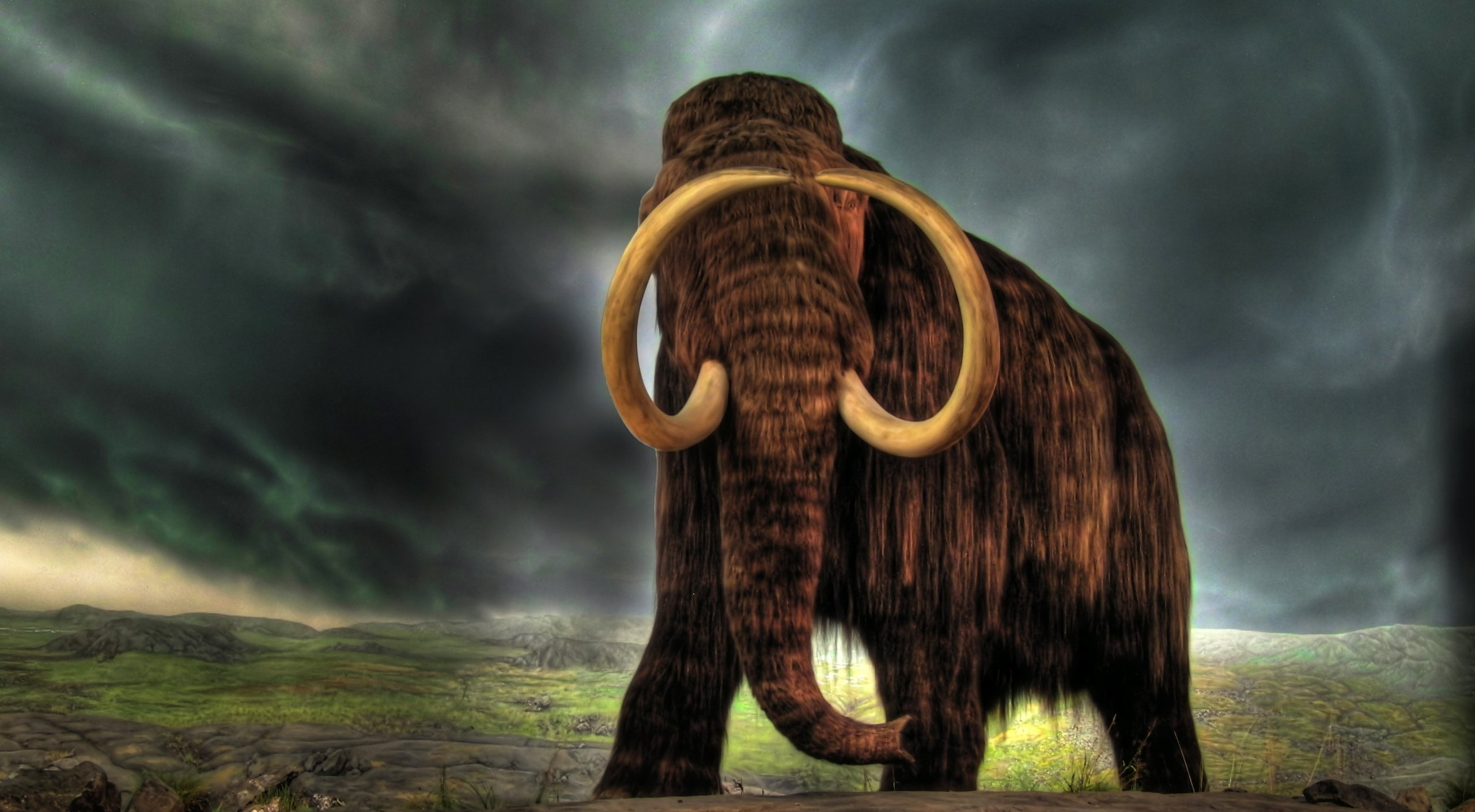 Extinct Giant Mammoth Pliocene Tusk 2560x1410