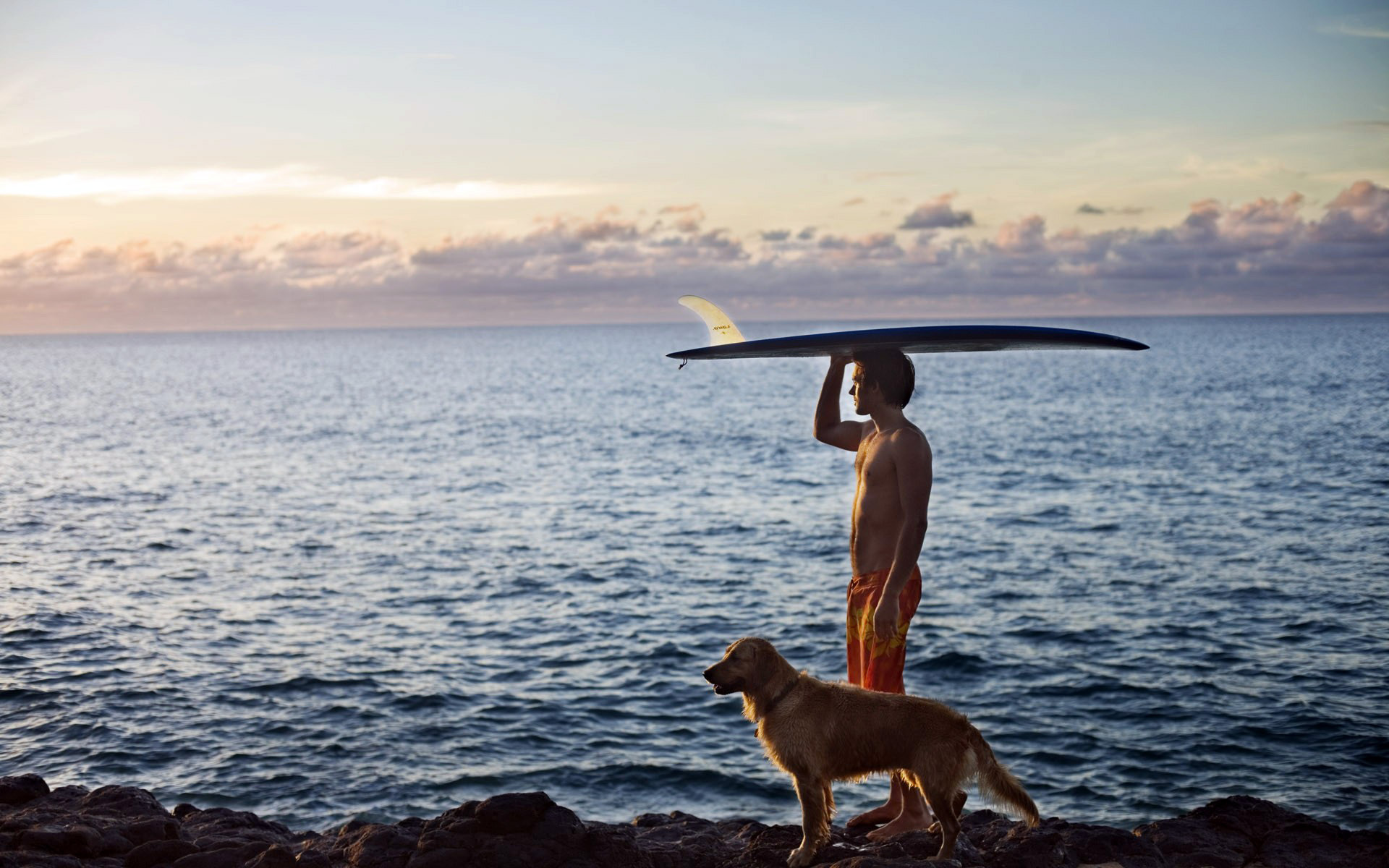 Dog Man Ocean Surfboard Surfing 1920x1200