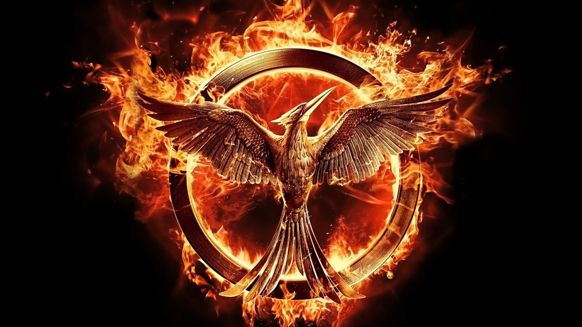 Movie The Hunger Games Mockingjay Part 1 1920x1080