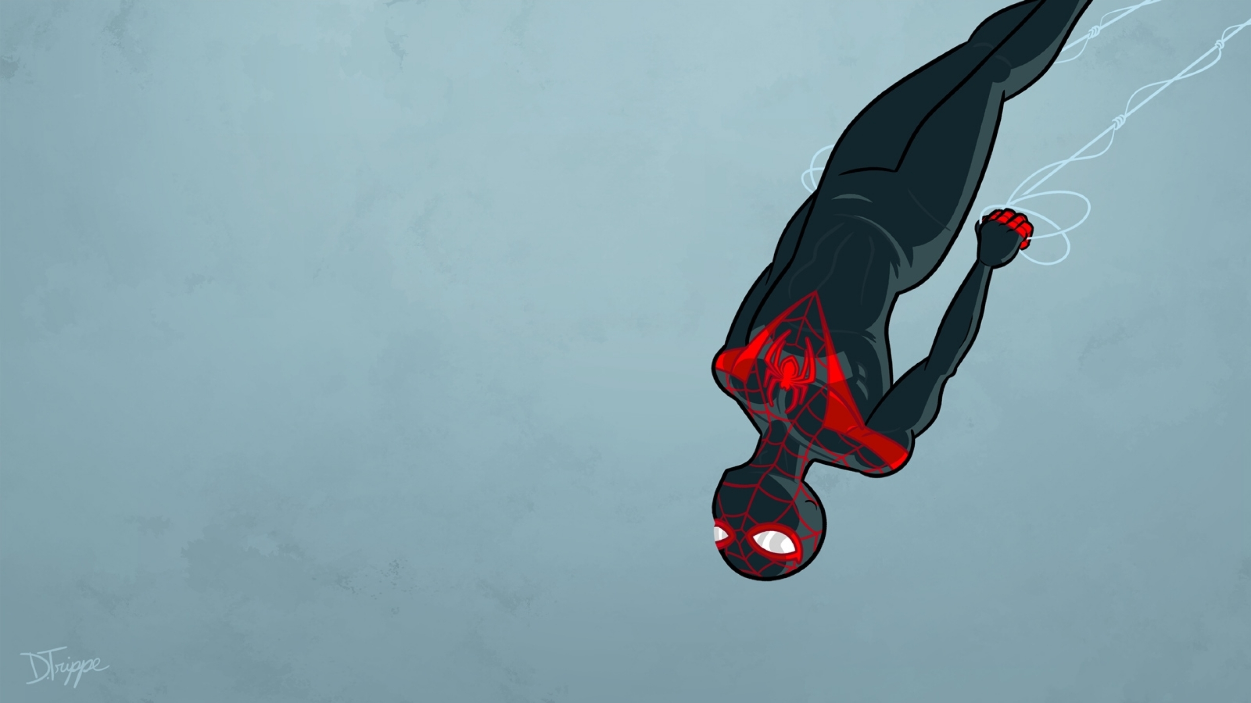 Minimalist Spider Man 2560x1440
