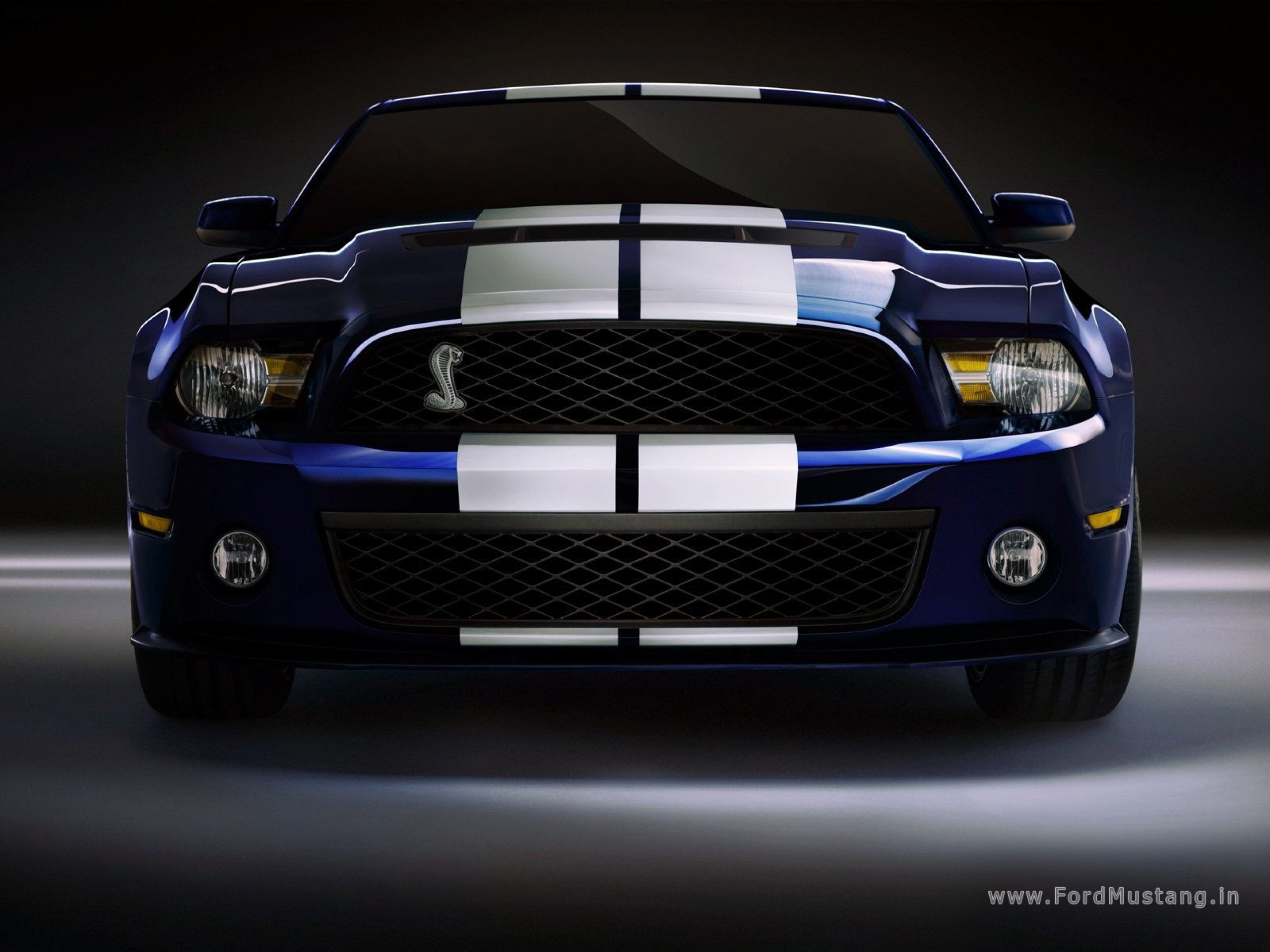 Vehicles Ford Mustang Shelby GT500 2560x1920