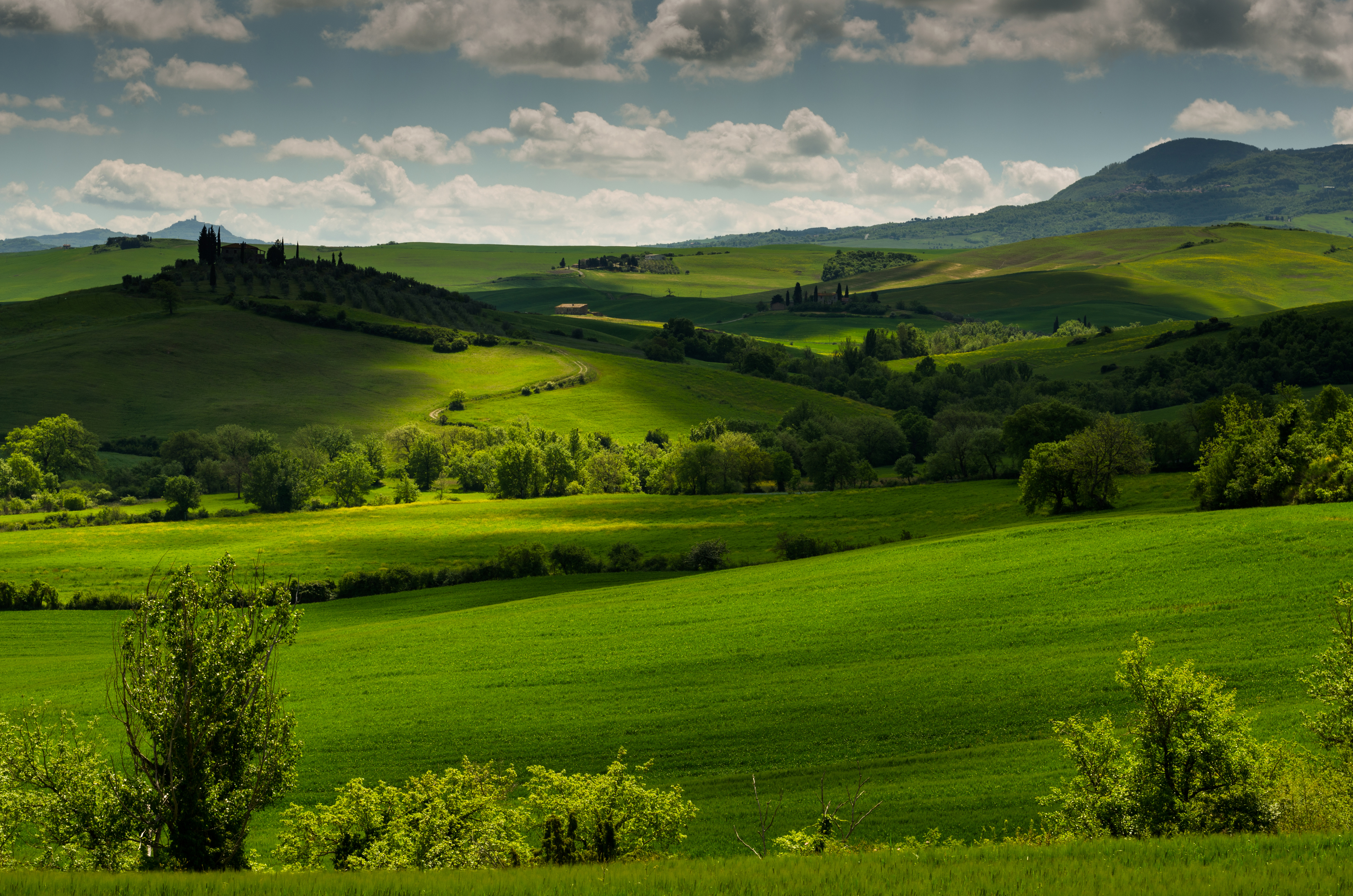 Grass Green Hill Italy Landscape Tuscany 4200x2782