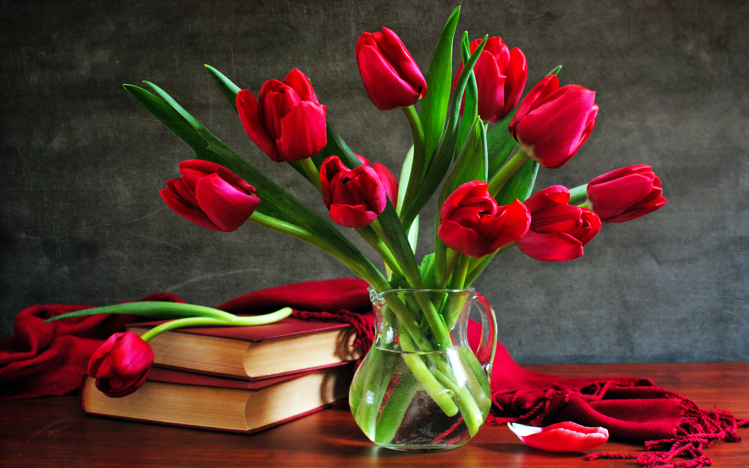Book Flower Pitcher Red Flower Scarf Still Life Tulip 2560x1600