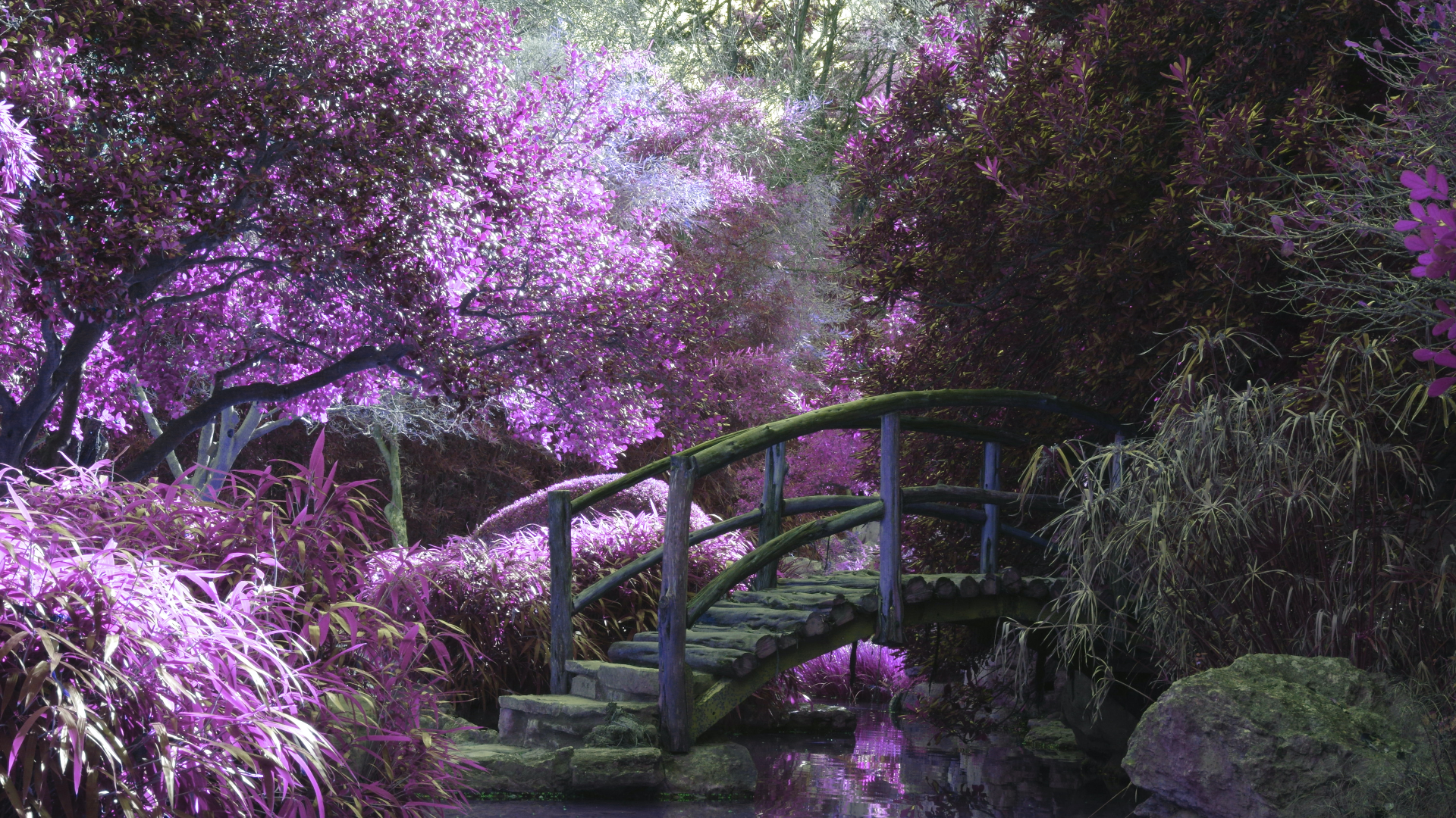 Wooden Bridge Plants Trees Water Spring Moss Selective Coloring 1920x1080
