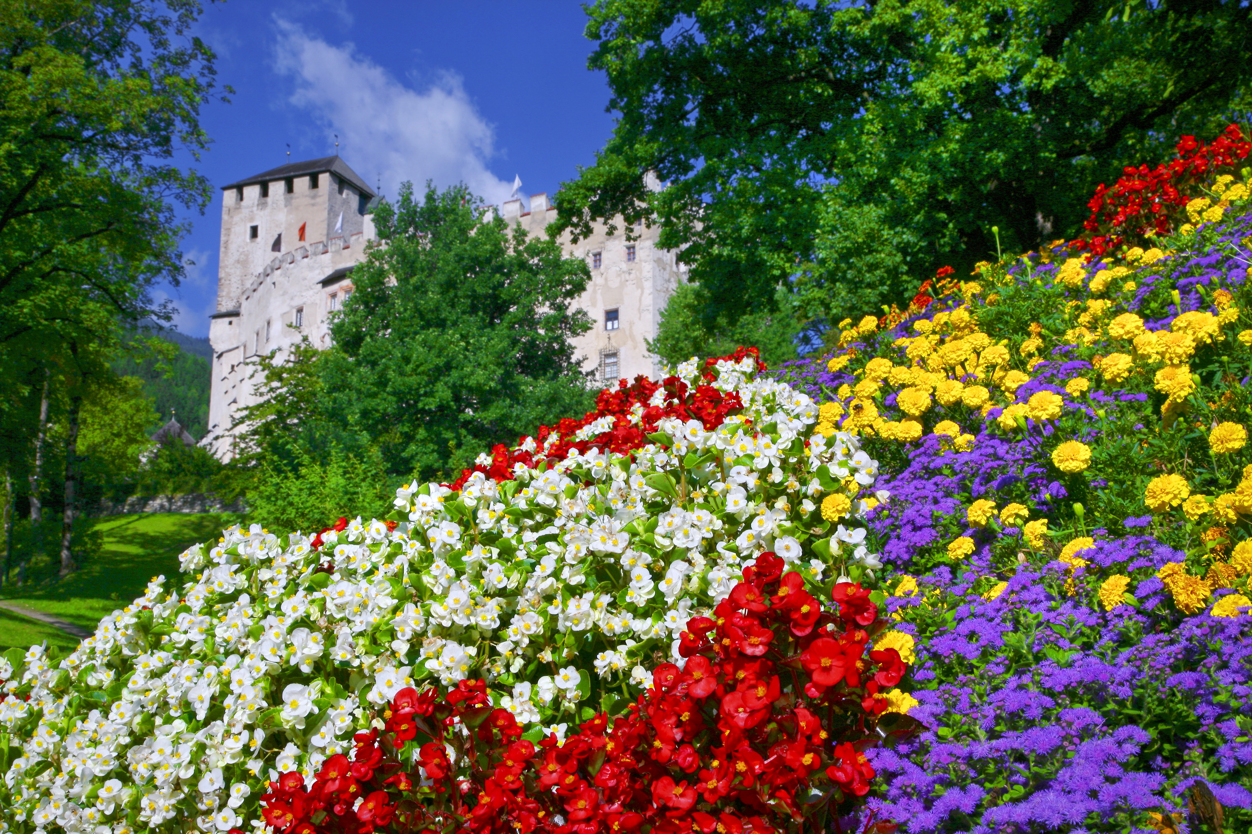 Austria Castle Earth Flower Purple Flower Red Flower Spring Tyrol White Flower Yellow Flower 4368x2912