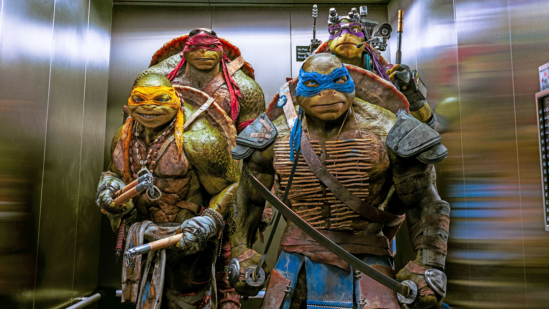 Donatello Tmnt Leonardo Tmnt Michelangelo Tmnt Raphael Tmnt 1920x1080