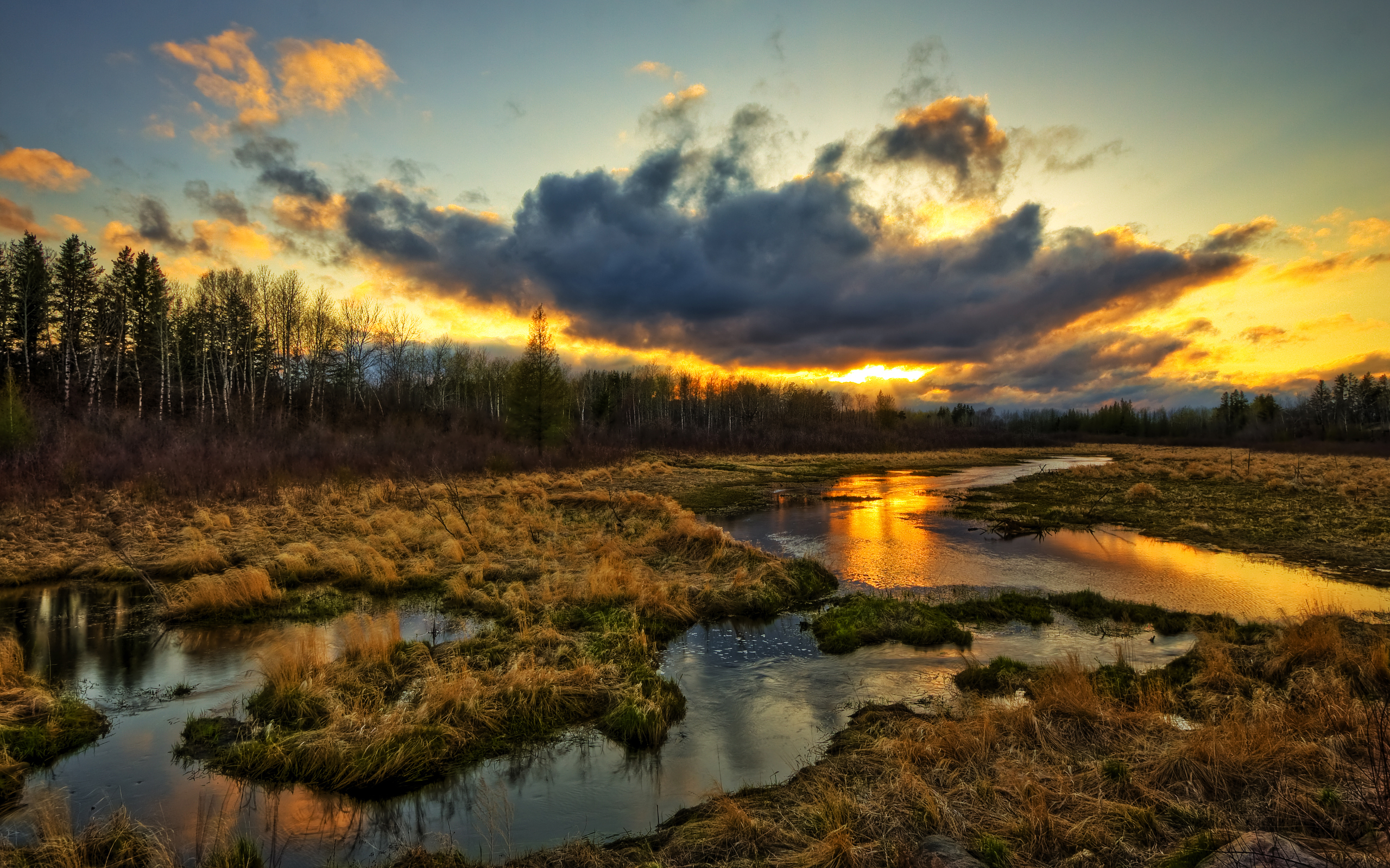 Cloud Sunset Swamp Tundra 2560x1600