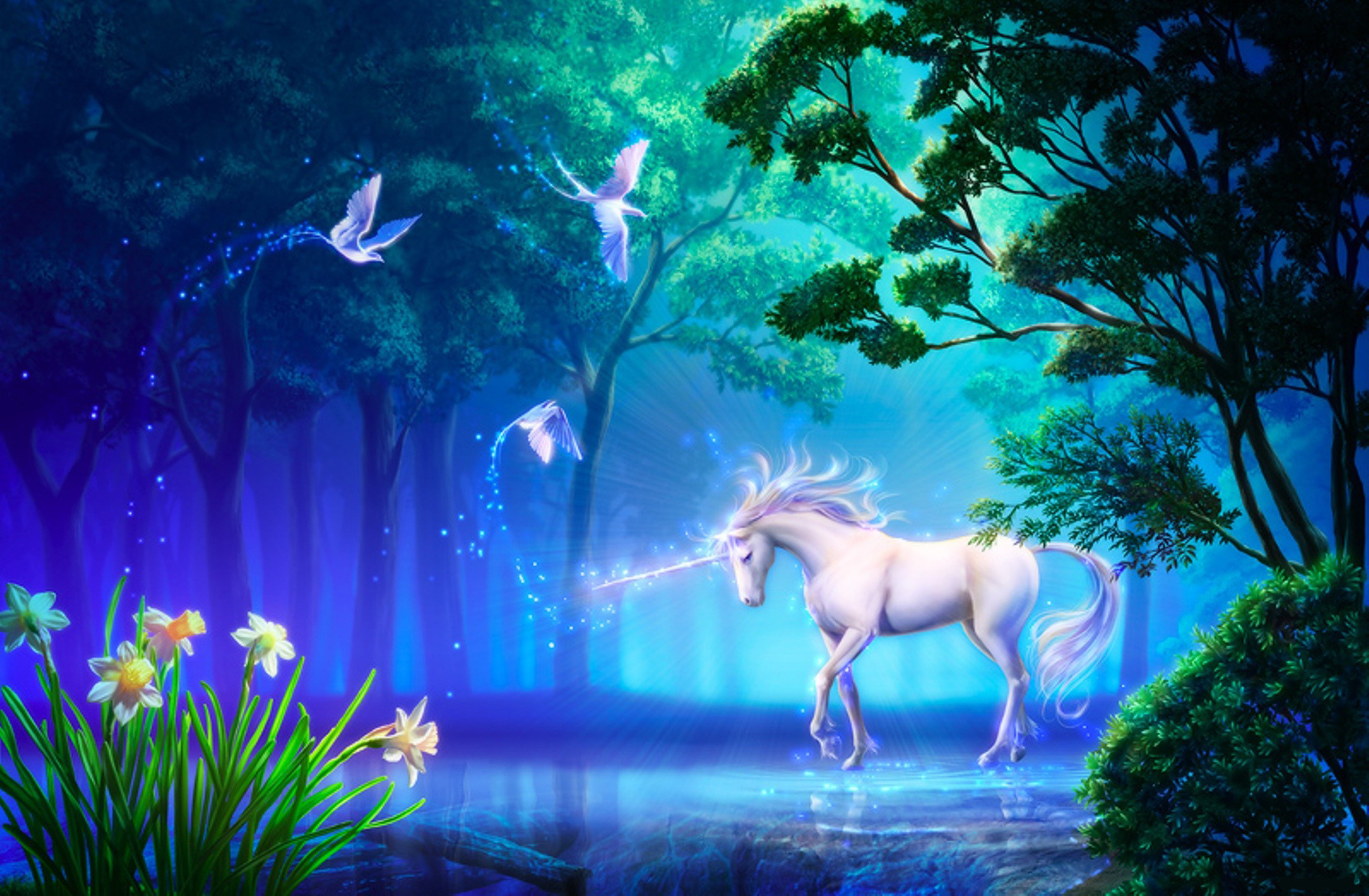 Fantasy Unicorn 2000x1310