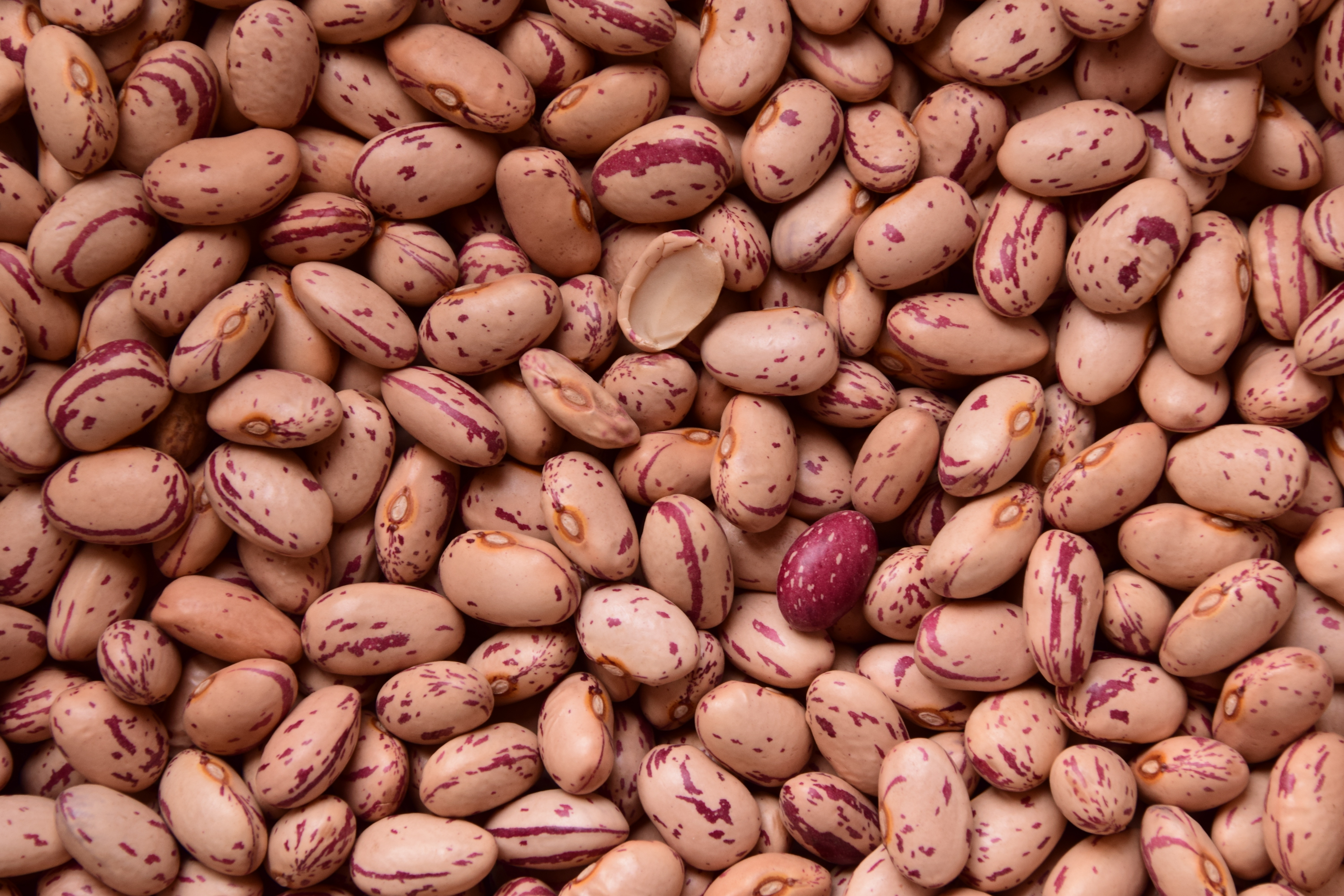Beans 6000x4000