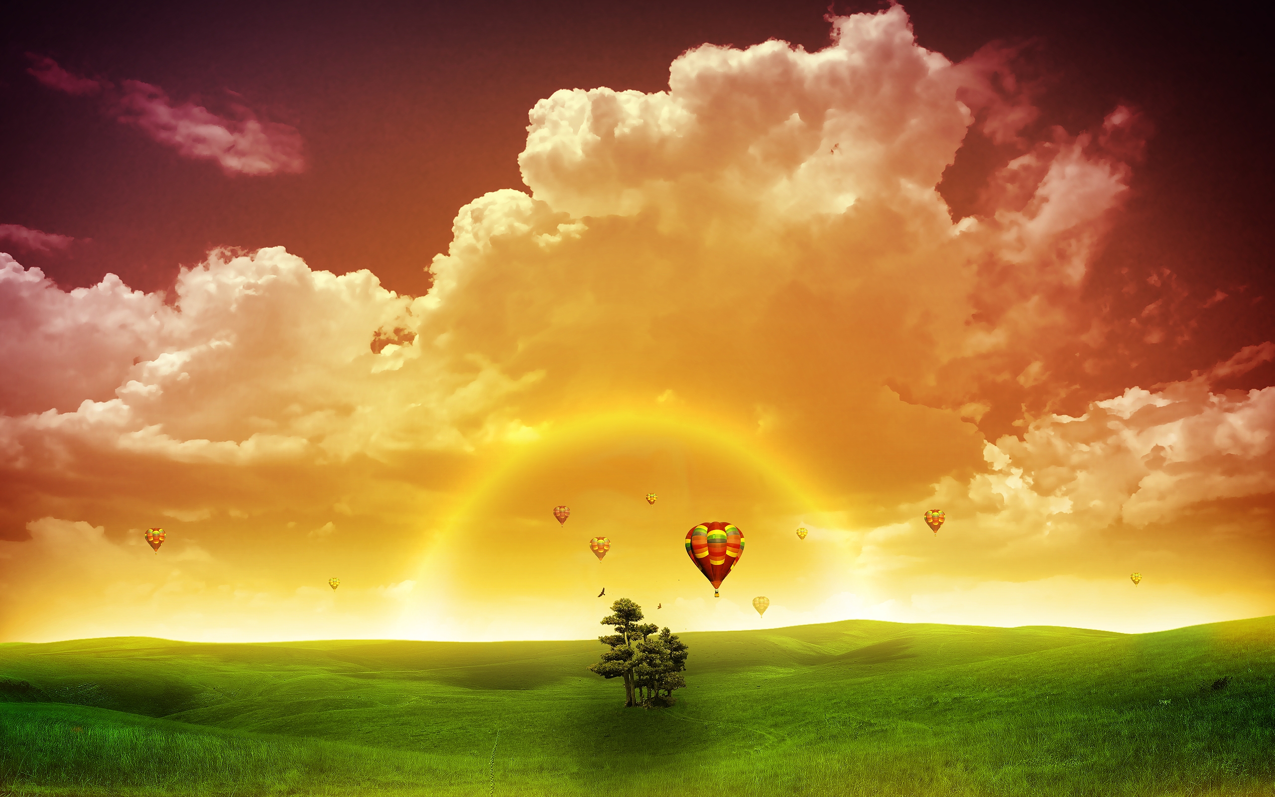 Artistic Fantasy Field Hot Air Balloon Tree 2560x1600