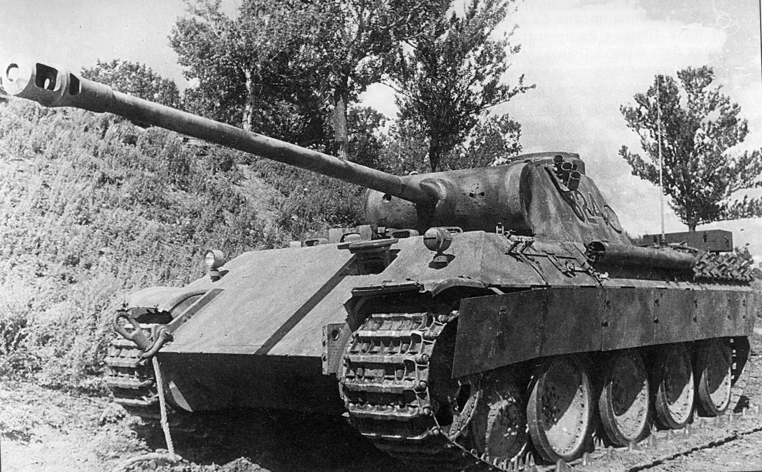 Military Panther Tank 2560x1587