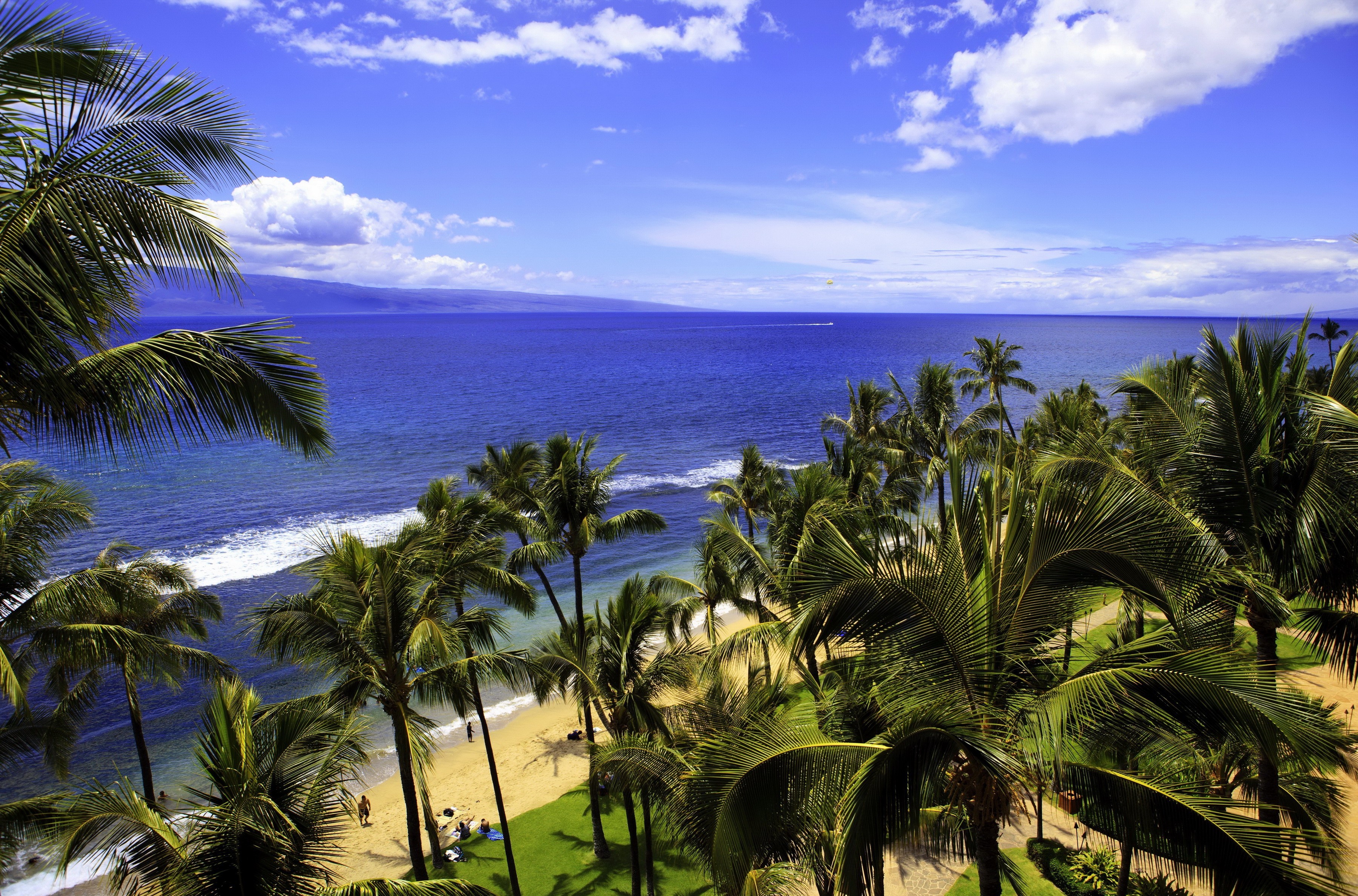 Beach Cloud Hawaii Palm Tree Sea Sky 3600x2375
