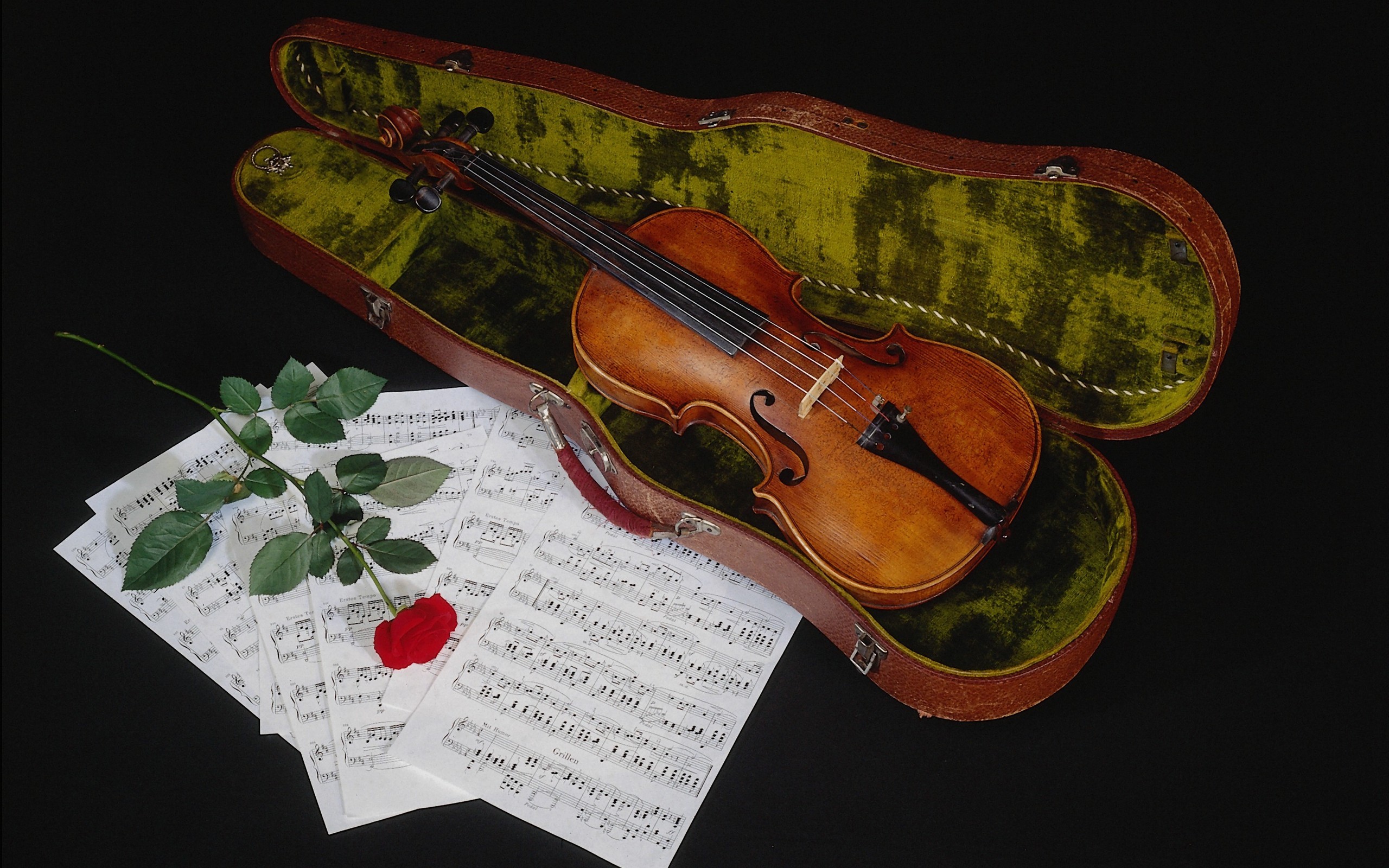 Instrument Red Rose Sheet Music Still Life Violin 2560x1600