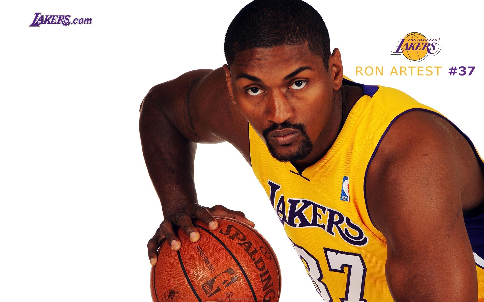 Ron Artest 1920x1200